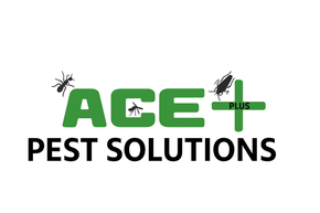 The "ACE PLUS PEST SOLUTIONS" logo in green and black with illustrations of an ant, mosquito, and cockroach.