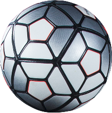 Soccer ball with silver and white panels outlined in black.