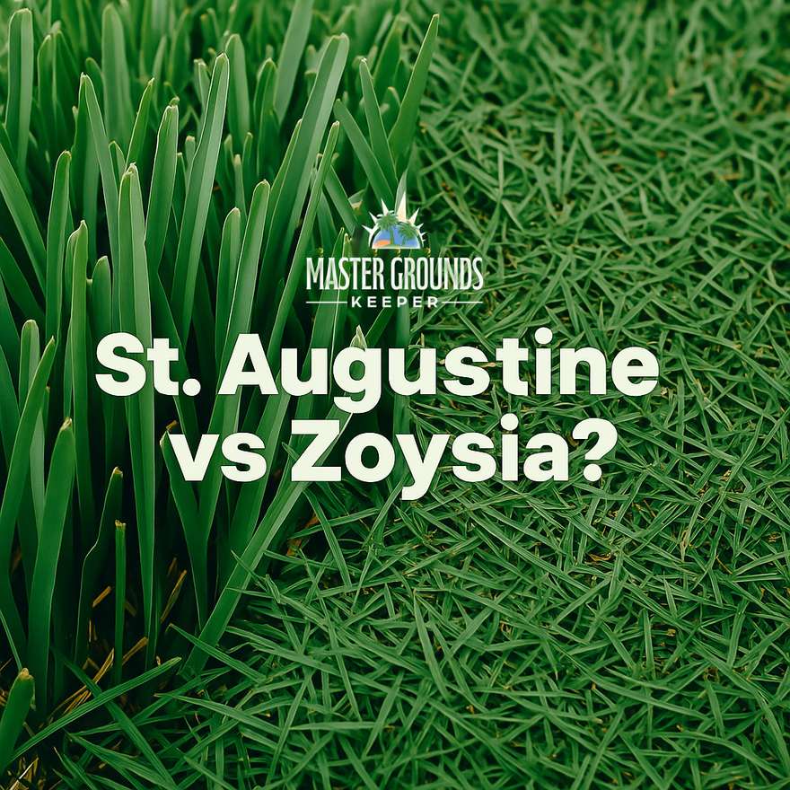 A close up of a lush green lawn with the words `` st. augustine vs zoysia '' written on it.