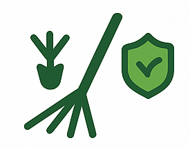 A green icon of a plant and a shield with a check mark on it.