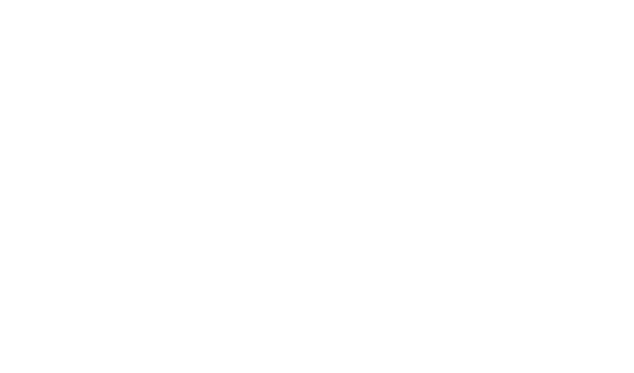 Hawaii Property Management Team Logo in footer