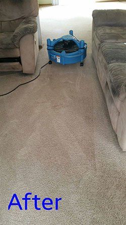 After Carpet Cleaning – Janitorial Services in Pueblo, CO