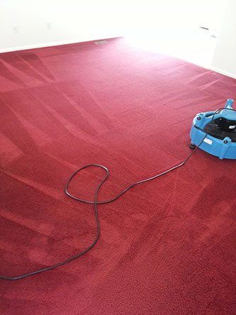 Cleaning Red Carpet – Janitorial Services in Pueblo, CO