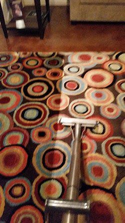 Rug Cleaning – Janitorial Services in Pueblo, CO