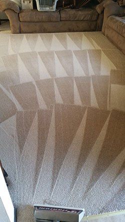 Vacuumed Carpet – Janitorial Services in Pueblo, CO