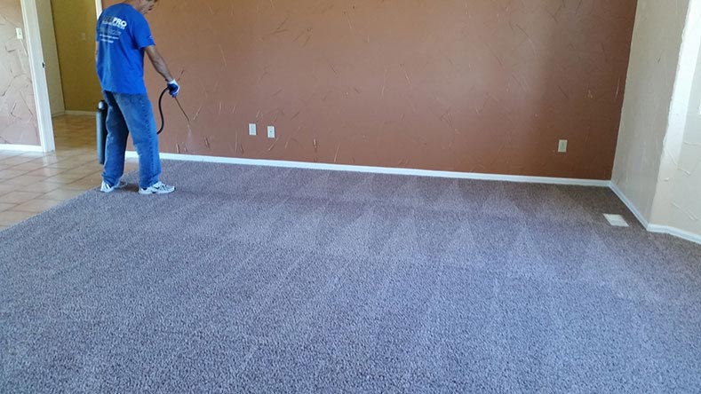 Carpet Cleaning – Janitorial Services in Pueblo, CO