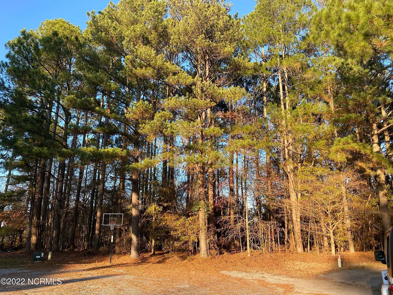 503 Brandywine Circle