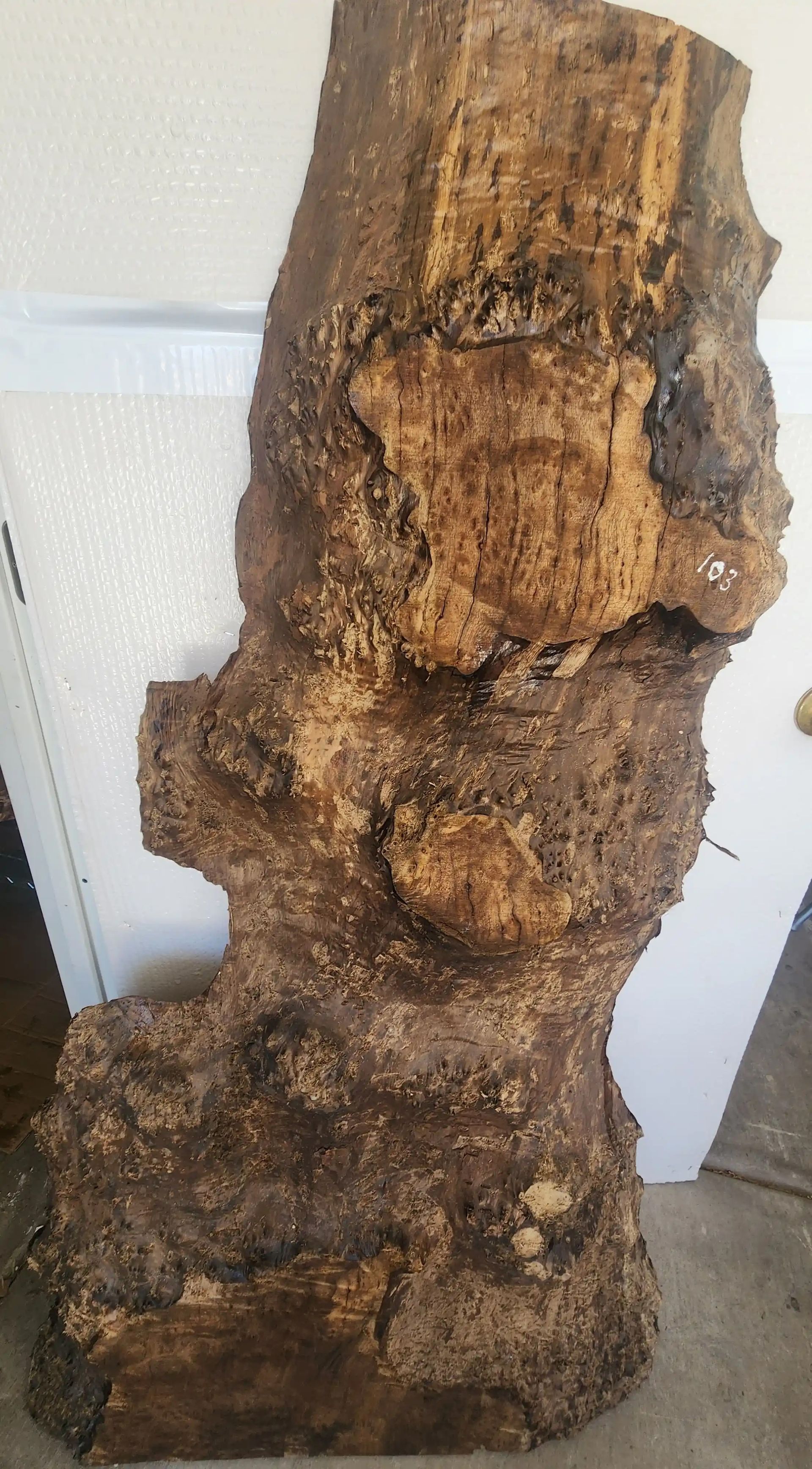 Myrtlewood Burl Slab
Bottom: 32