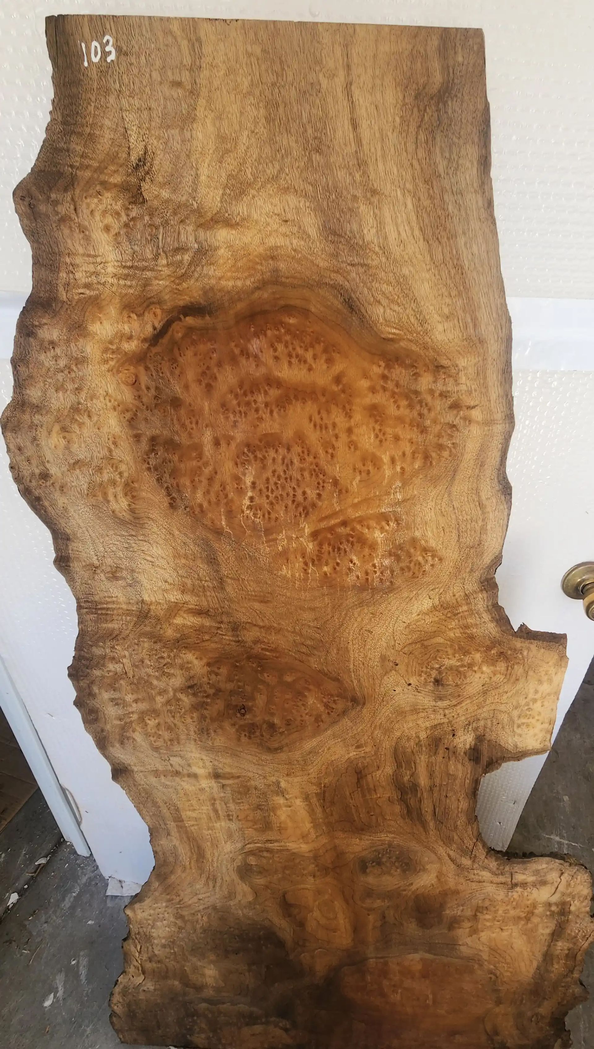 Myrtlewood Burl Slab
Bottom: 32