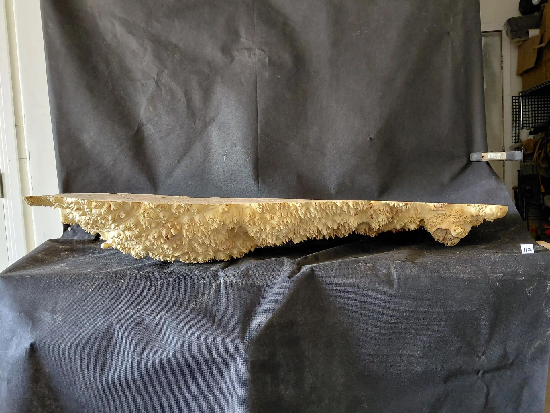 Maple Burl Cap Flat Surfaced
45