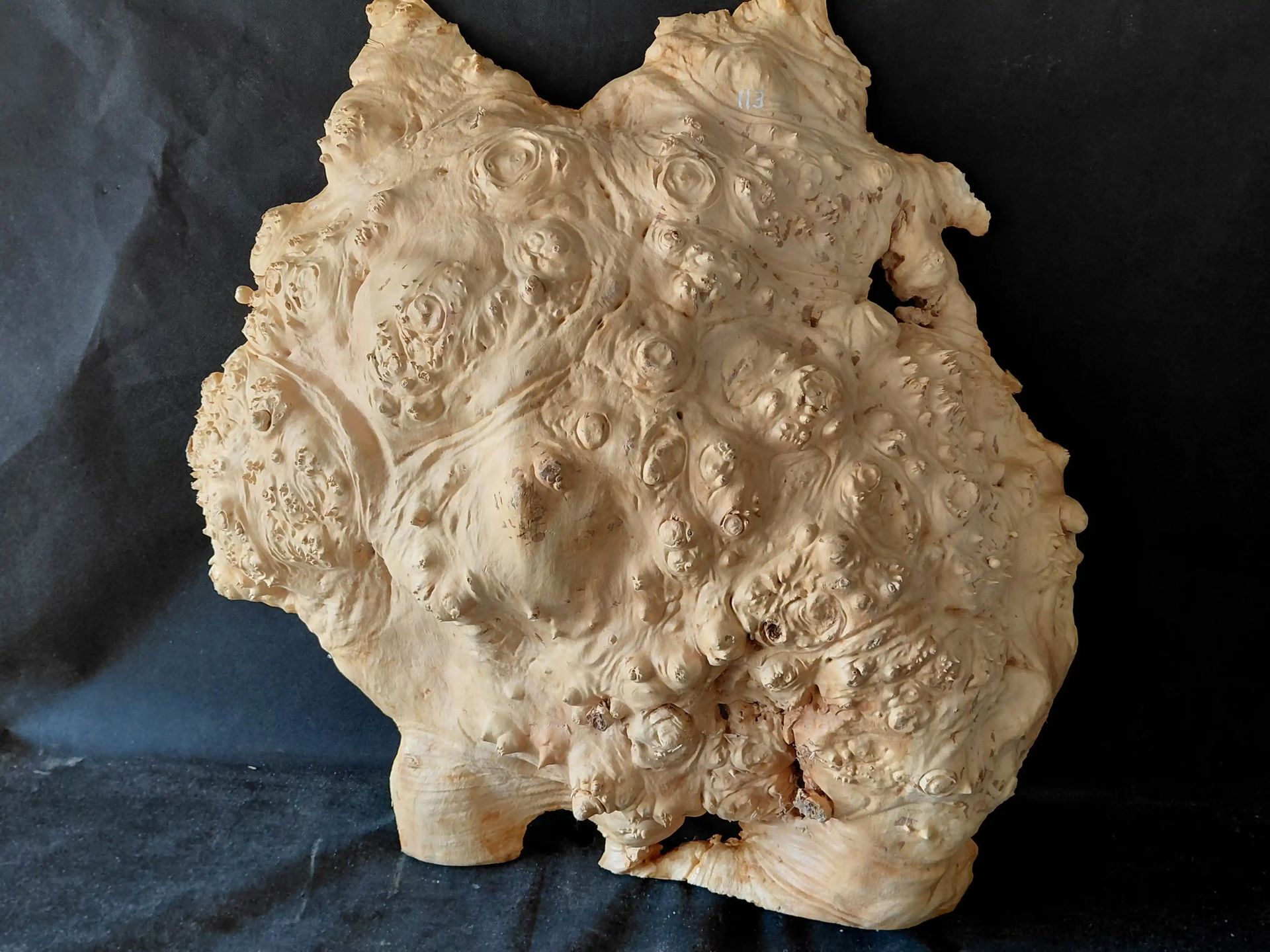 Maple Burl Cap 
Not Truly Flat Surface 
27
