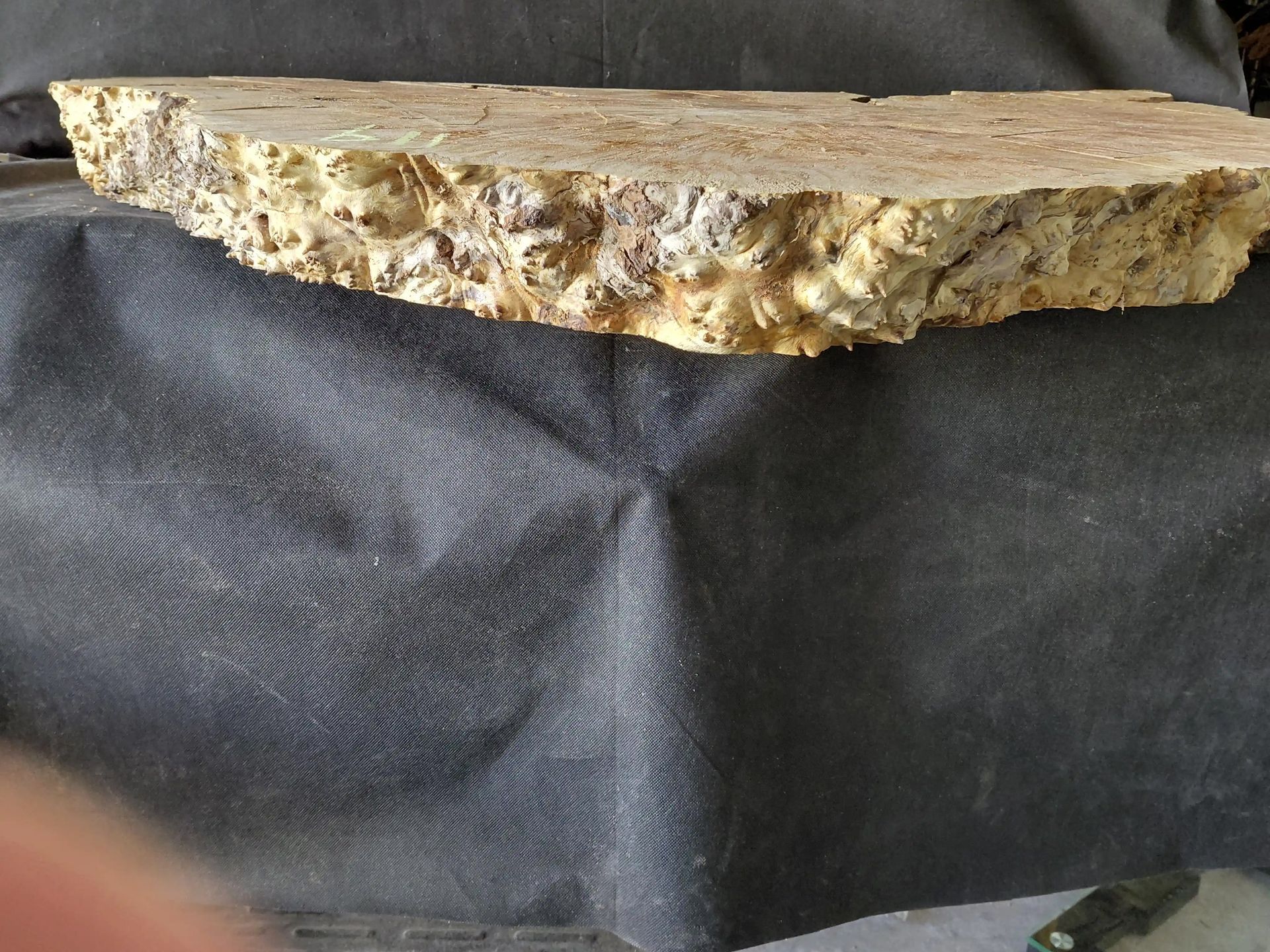 Maple Burl Slab (Roughly Planed) 
(Uneven Surface) 
46