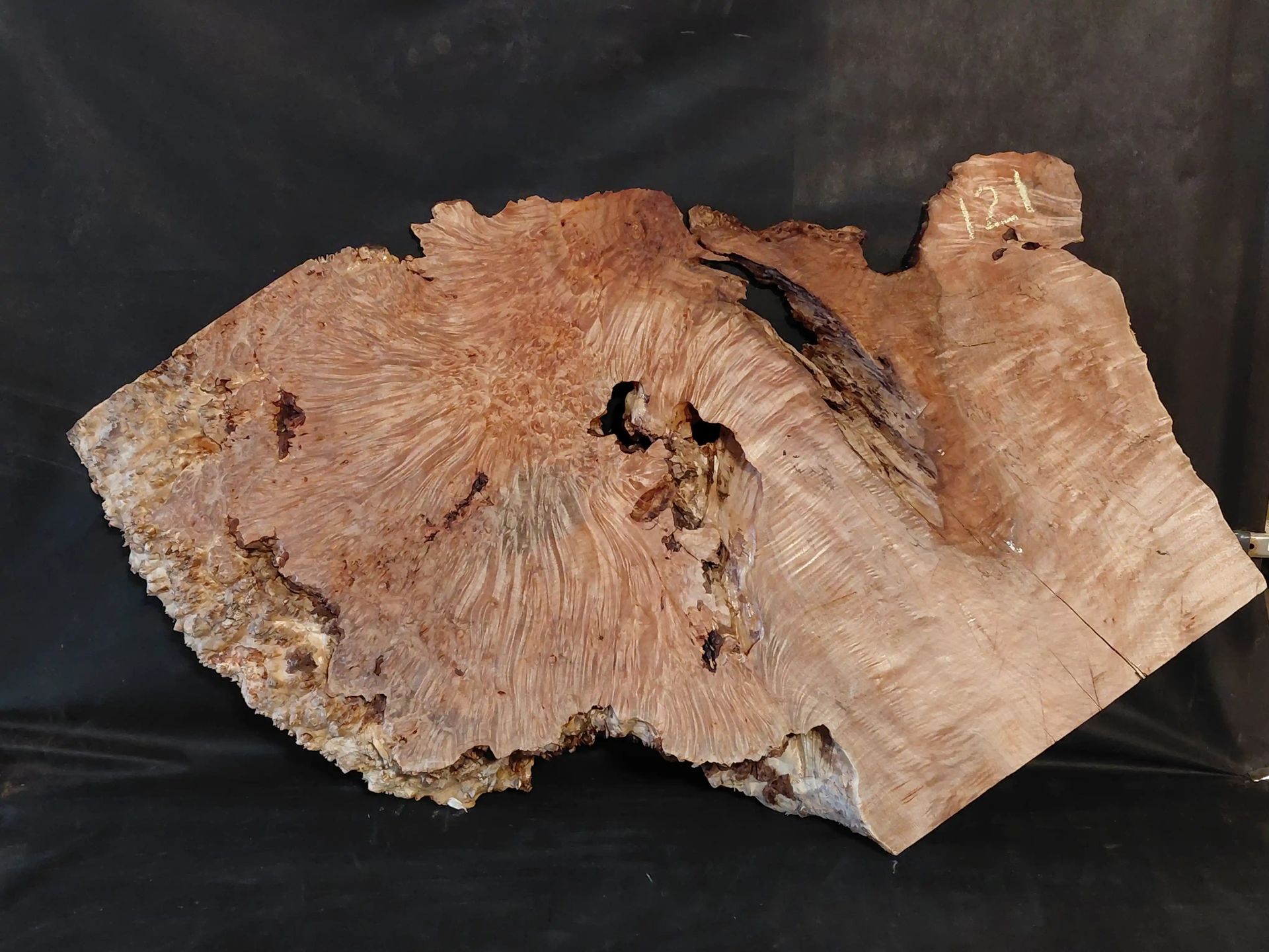 Maple Burl Slab (Roughly Planed, Flat but poor shape)
42