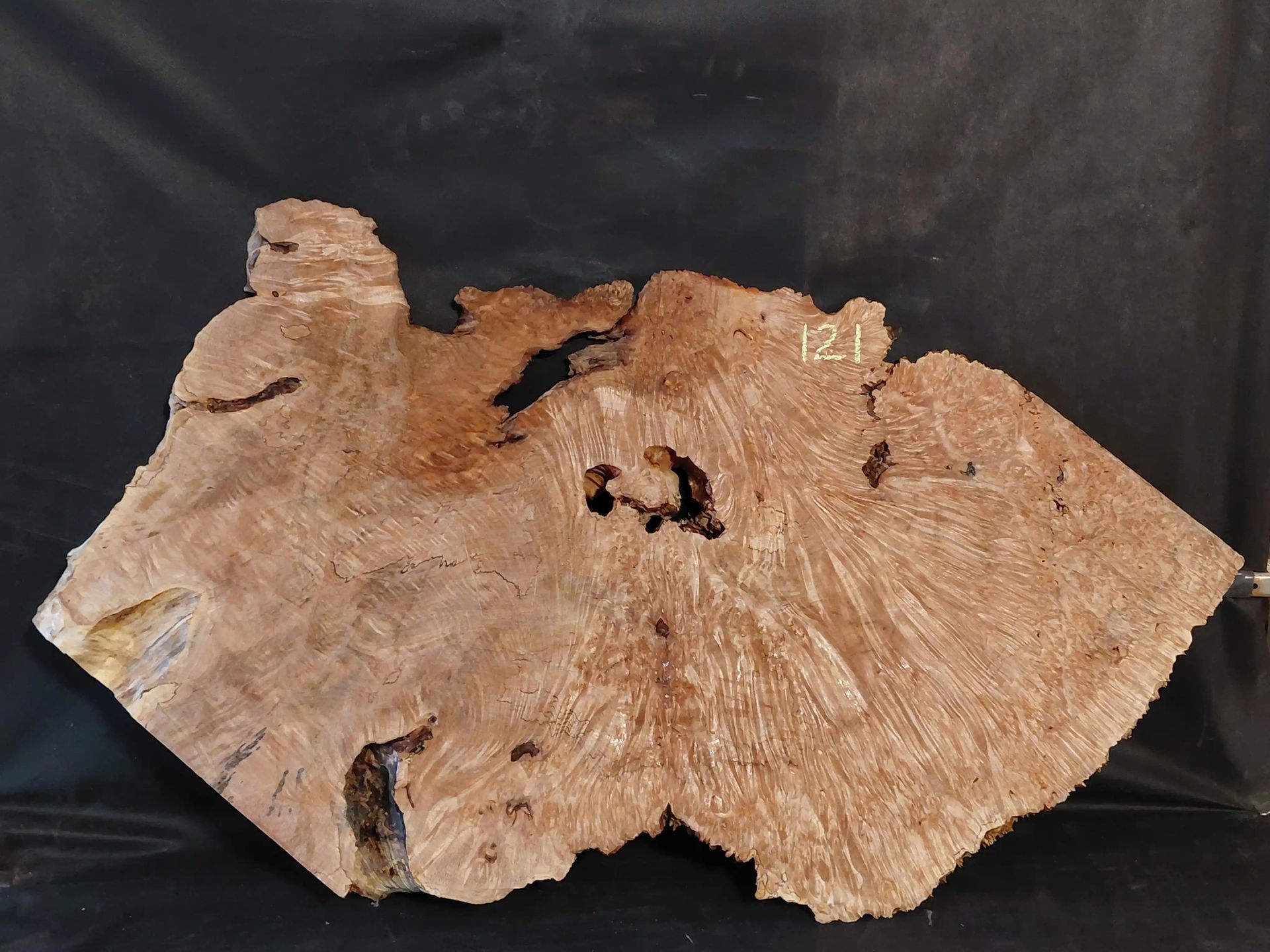 Maple Burl Slab (Roughly Planed, Flat but poor shape)
42