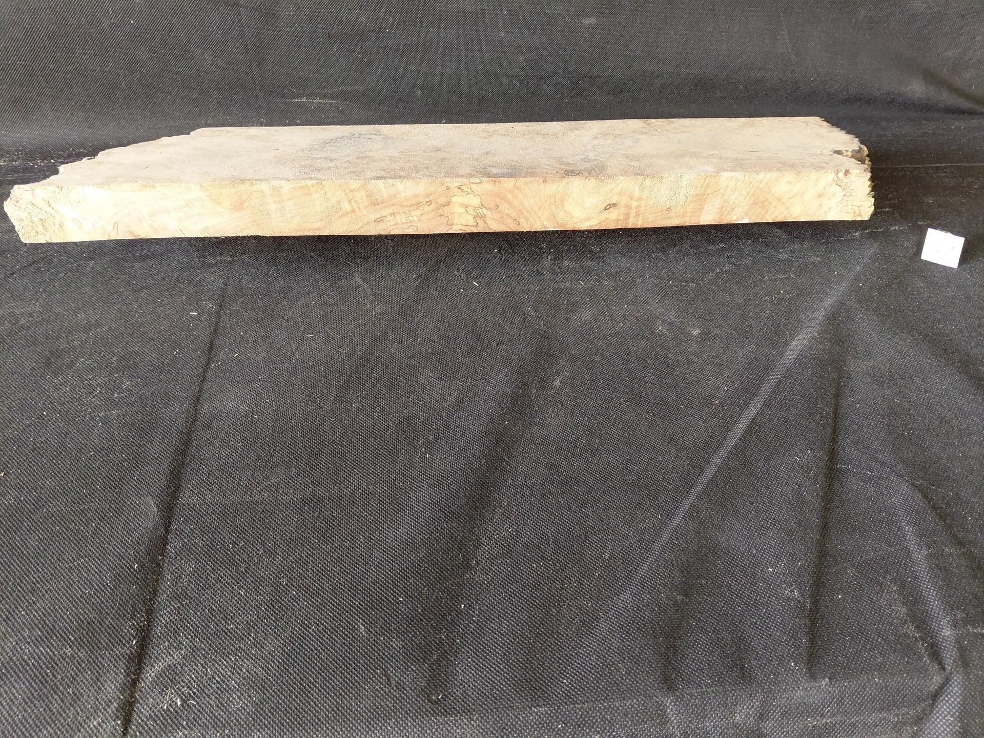 Spalted Maple 
23
