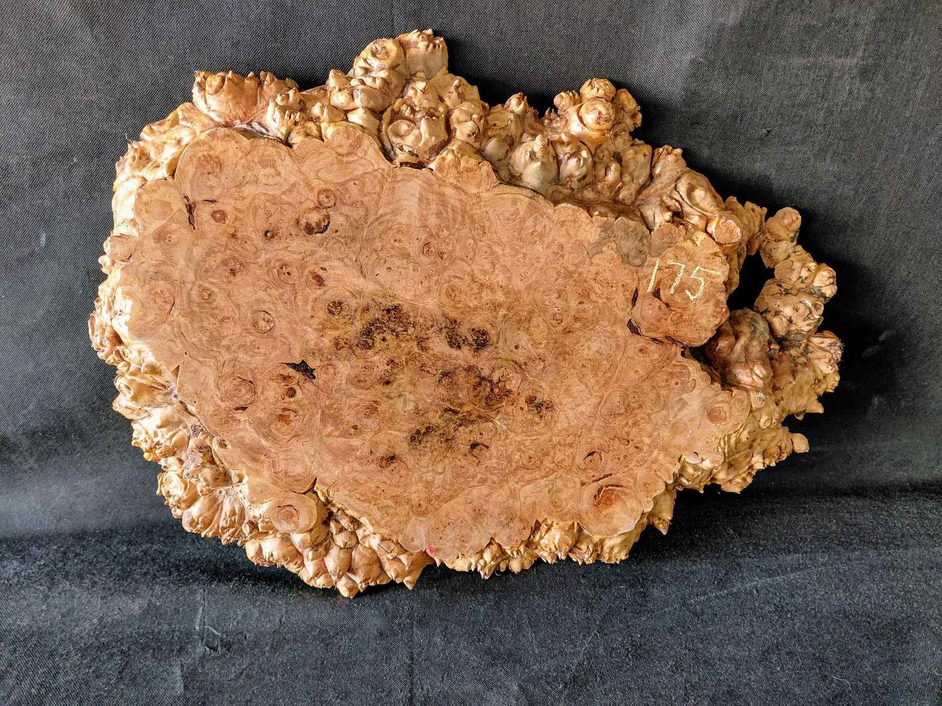 Maple Burl Live Edge
Roughly Planed
21