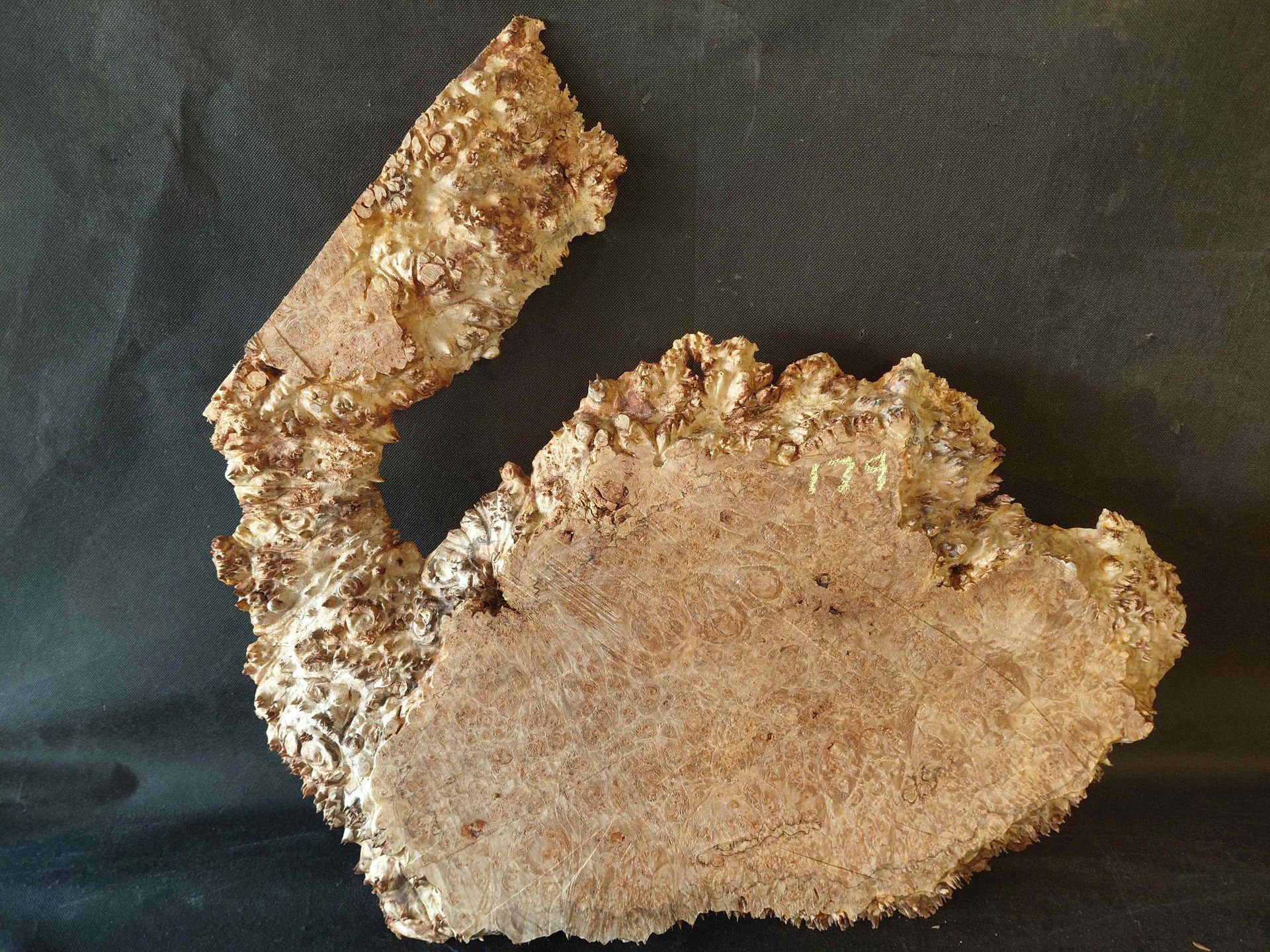 Maple Burl Live Edge
Roughly Planed 
21