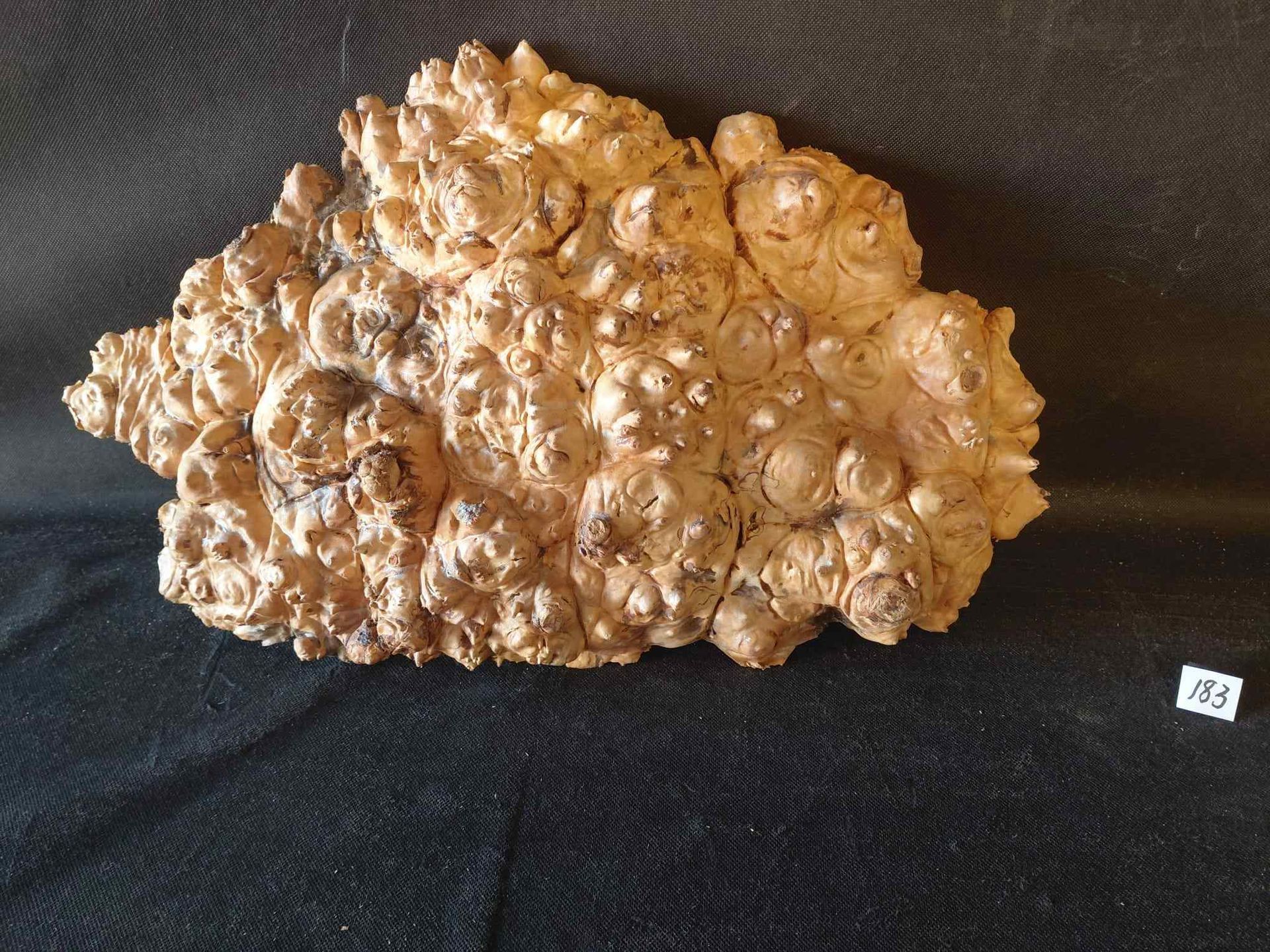 Maple Burl Cap 
20