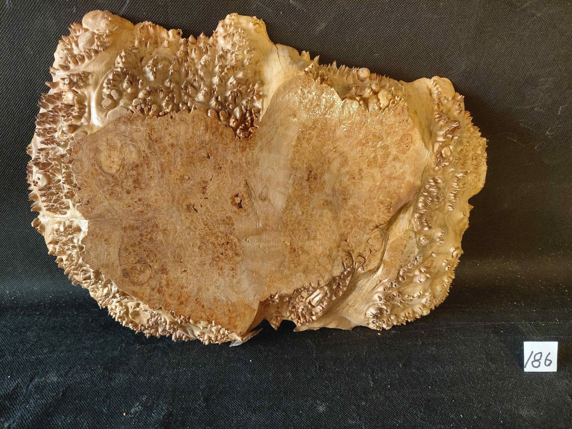 Maple Burl Slab Live Edge Roughly Planed 
12