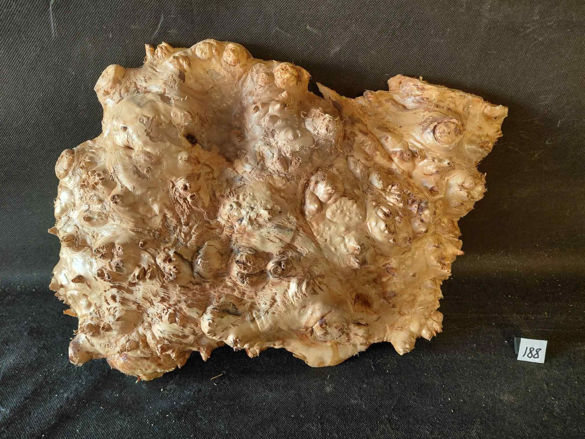 Maple Burl Slab Roughly Planed
16