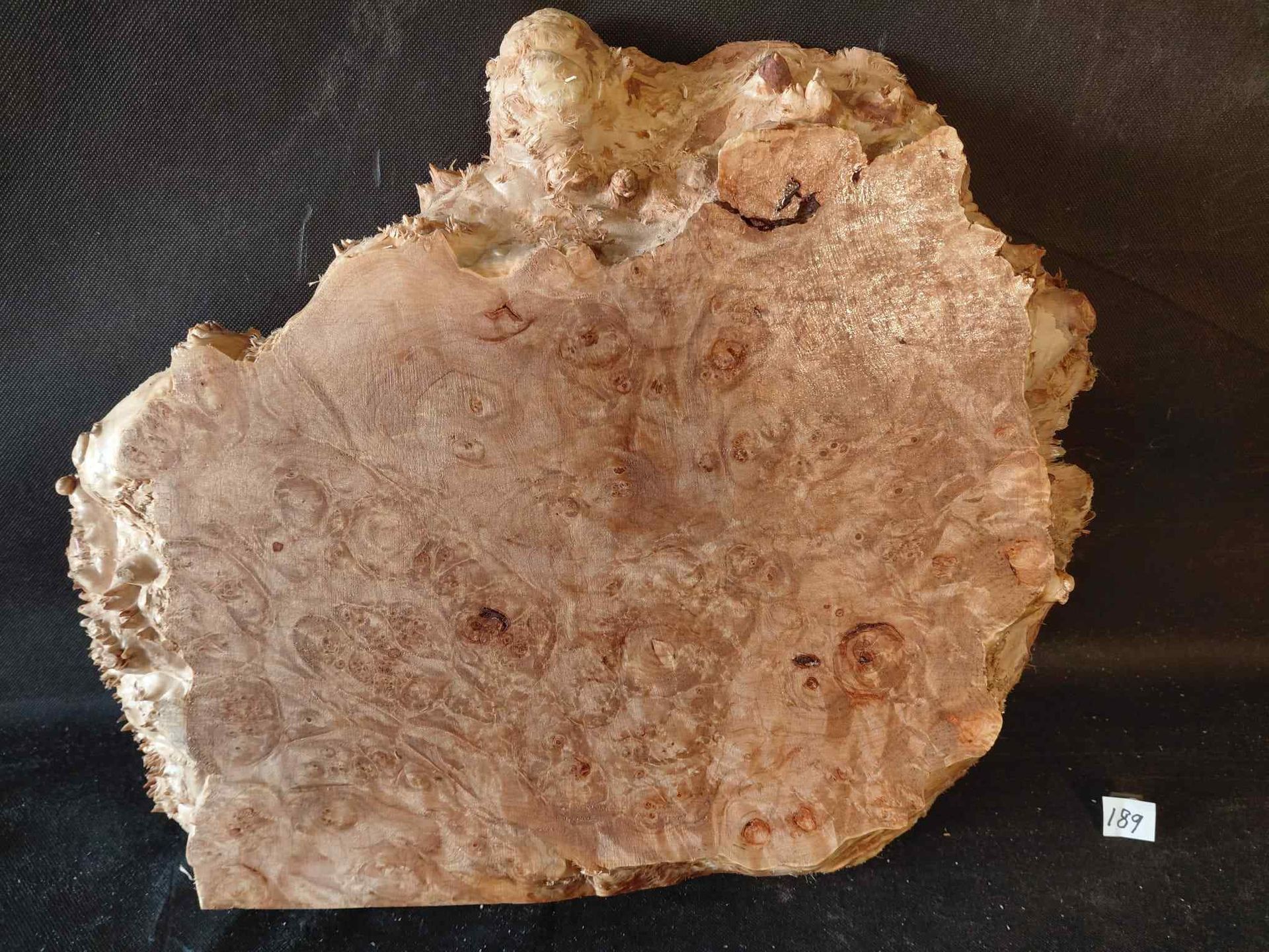 Maple Burl Slab Roughly Planed
16
