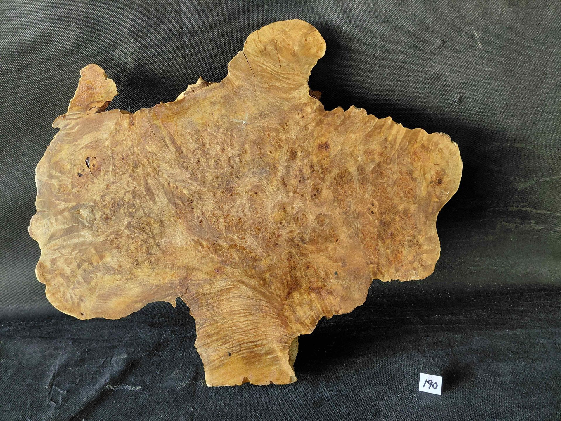 Maple Burl Slab Live Edge Roughly Planed 
16