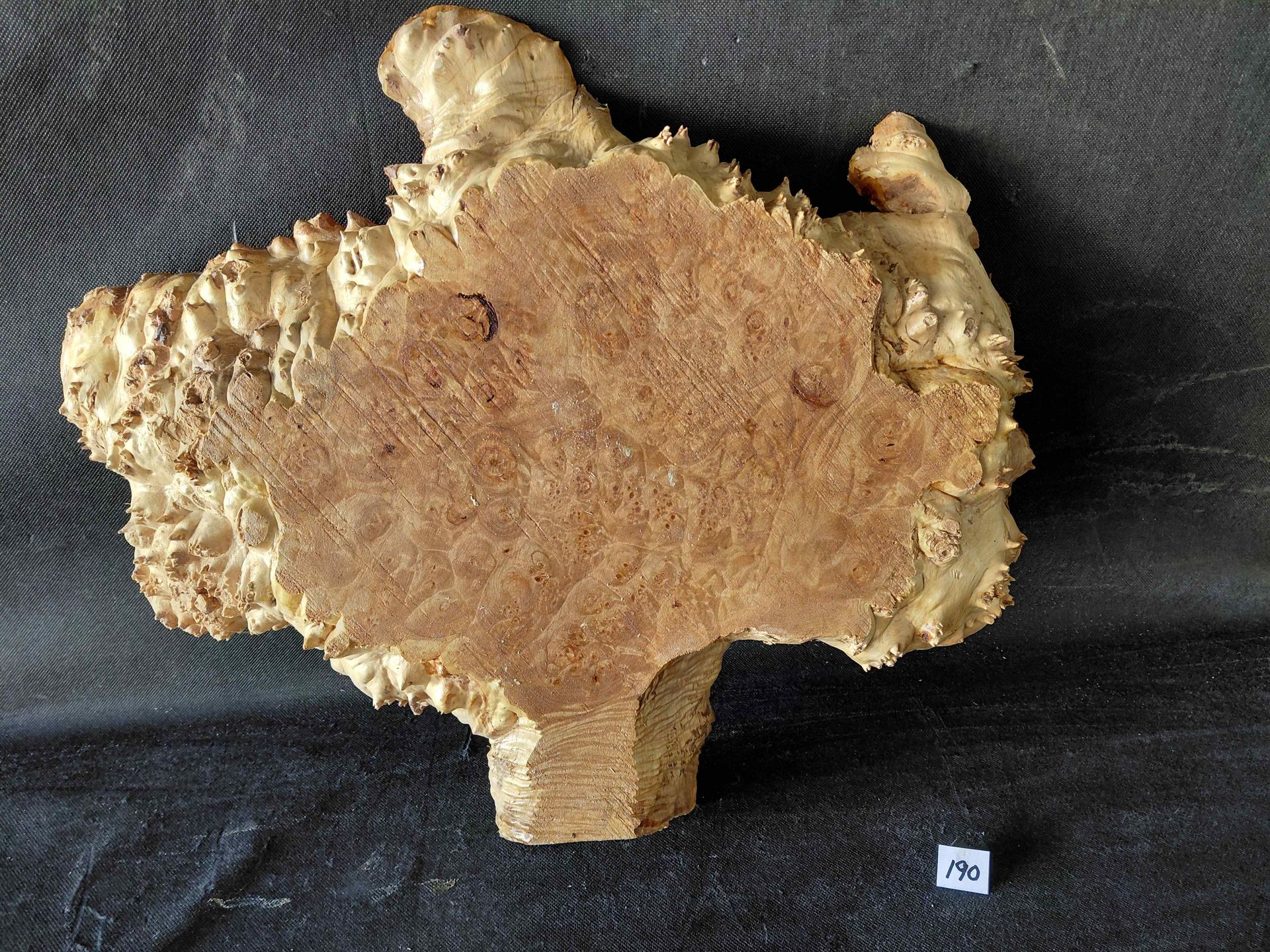Maple Burl Slab Live Edge Roughly Planed 
16