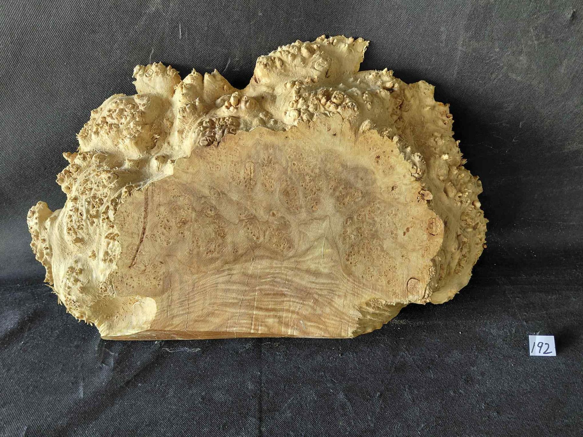 Maple Burl Slab Roughly Planed Live Edge 
16