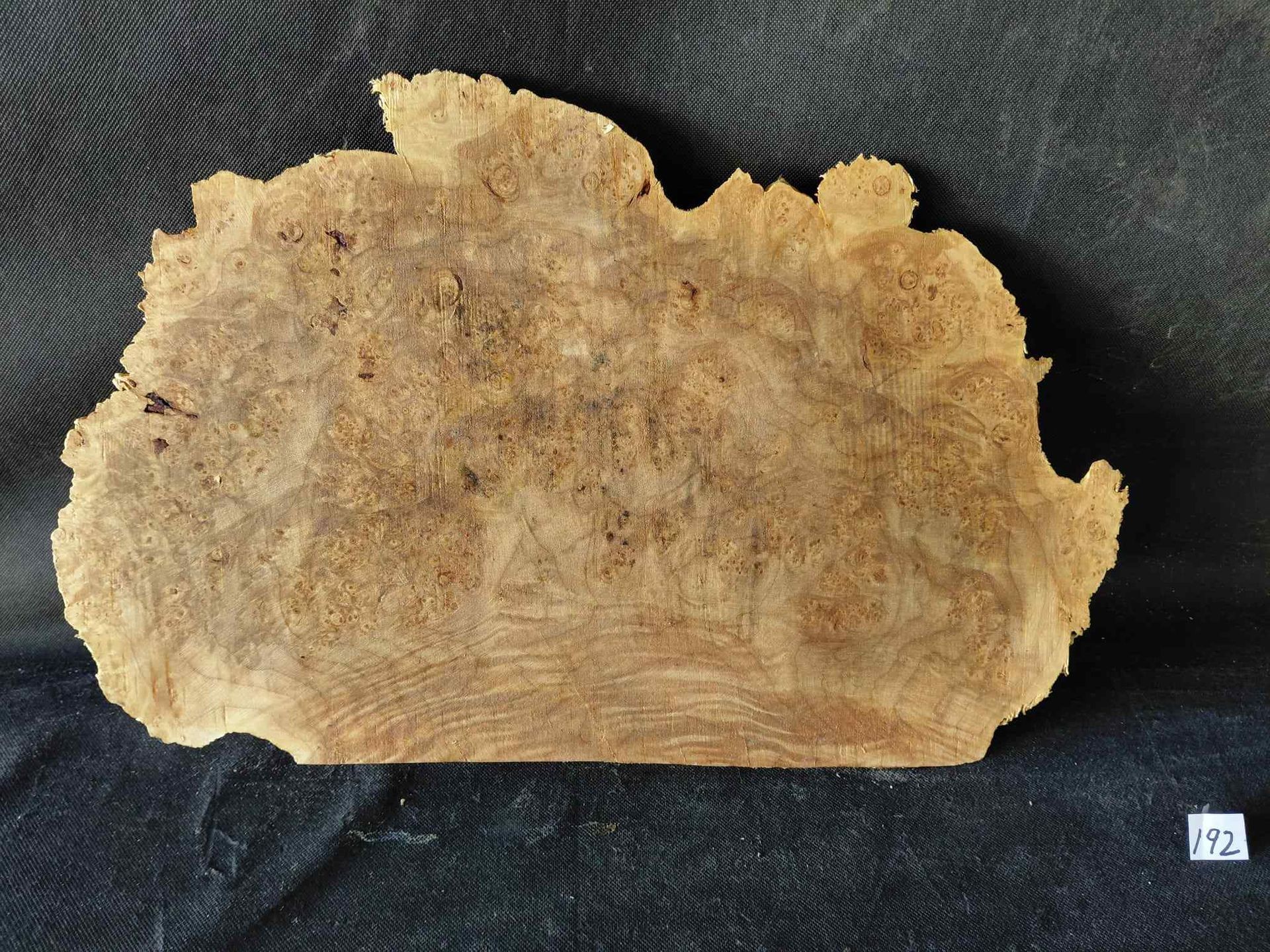 Maple Burl Slab Roughly Planed Live Edge 
16