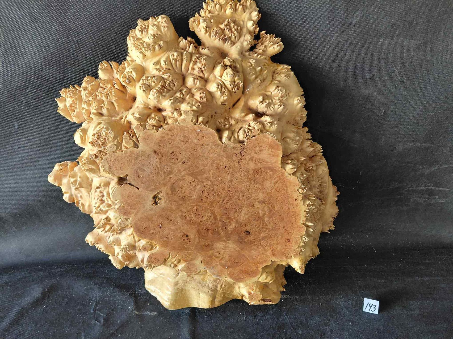 Maple Burl Slab Roughly Planed Live Edge
15