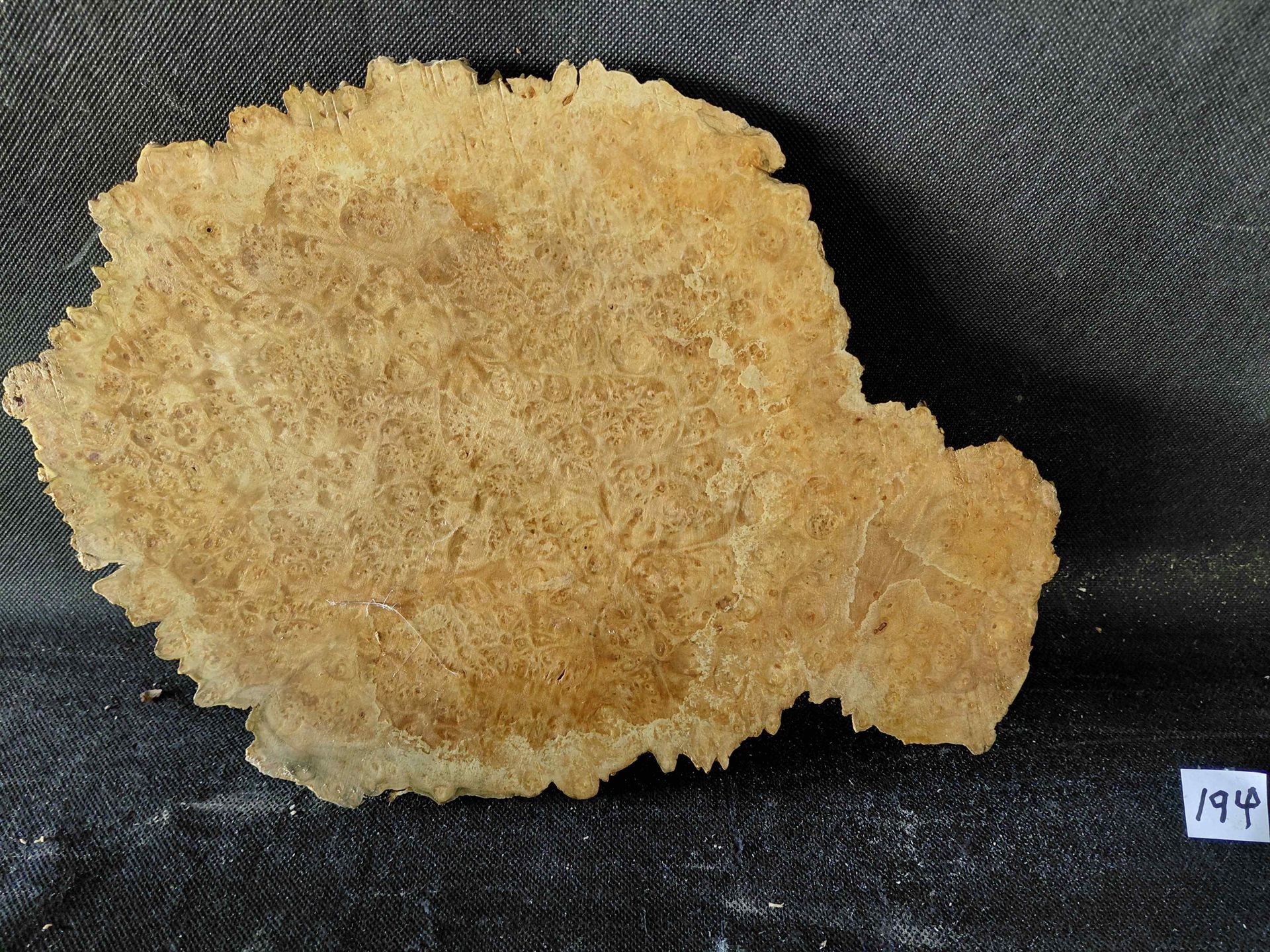 Maple Burl Slab Live Edge Roughly Planed 
10