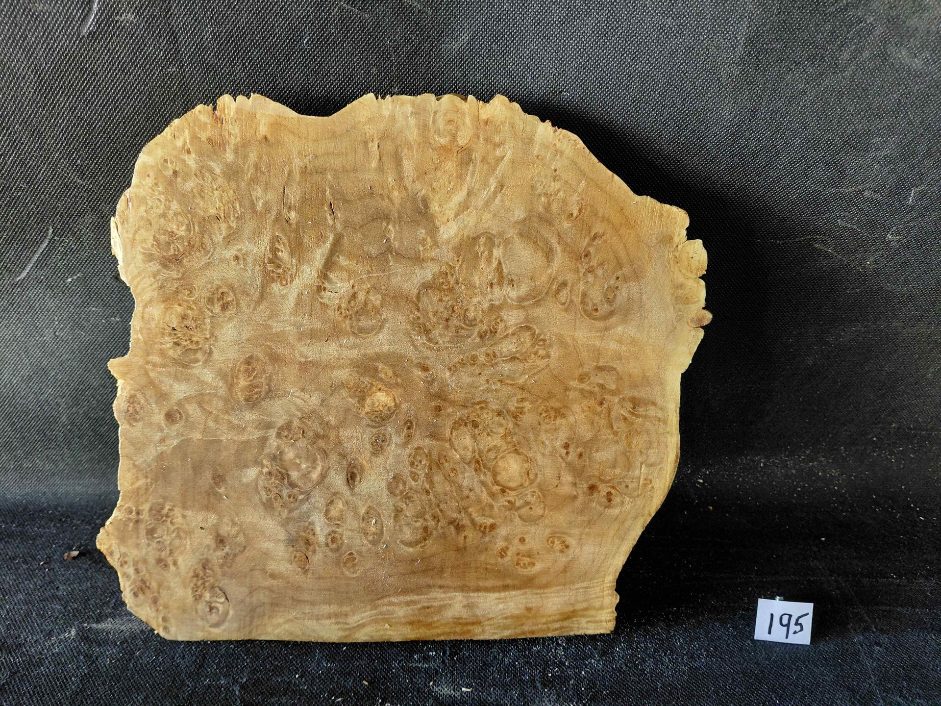 Maple Burl Slab Live Edge Roughly Planed 
10