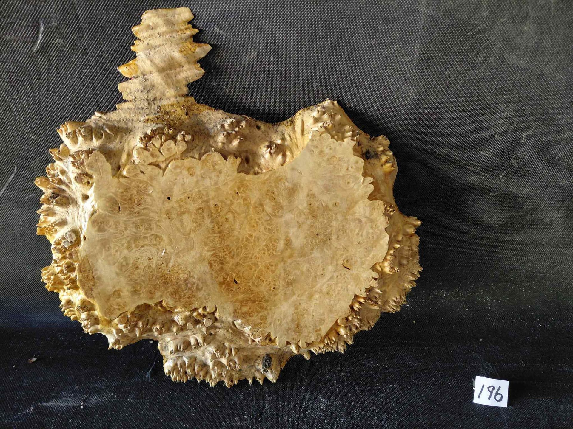 Maple Burl Slab Live Edge Roughly Planed 
9