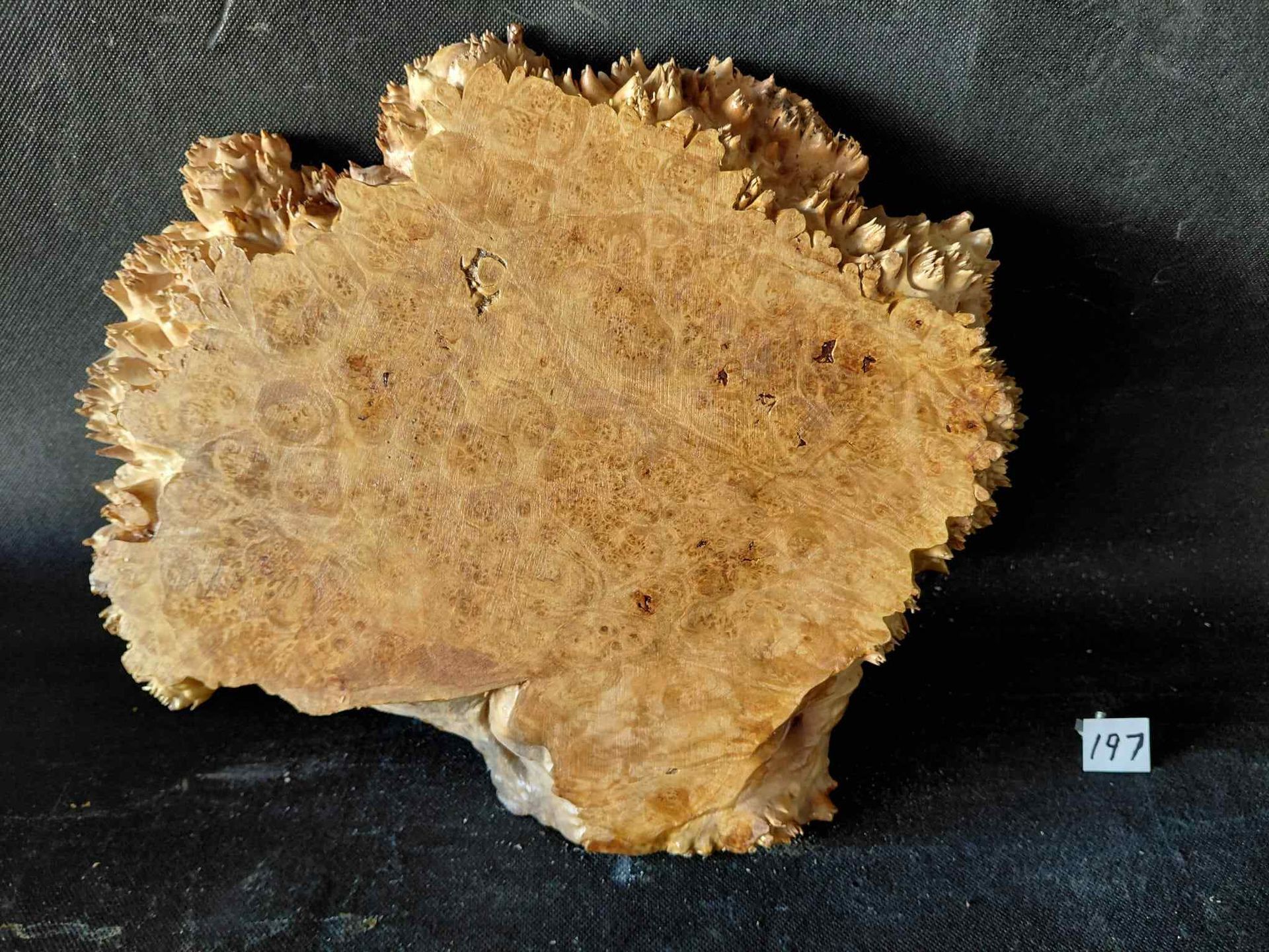 Maple Burl Slab Live Edge Roughly Planed 
13