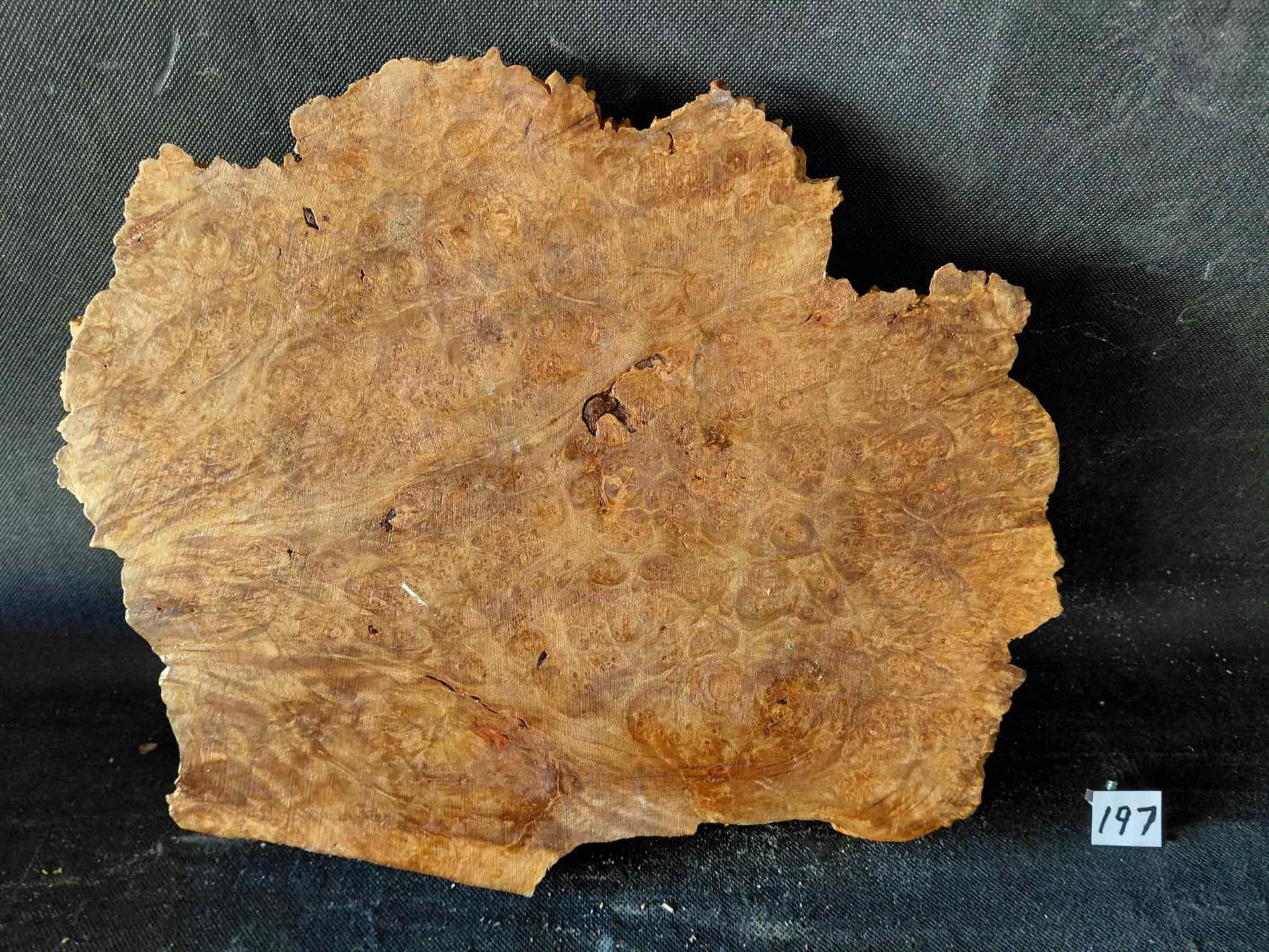 Maple Burl Slab Live Edge Roughly Planed 
13