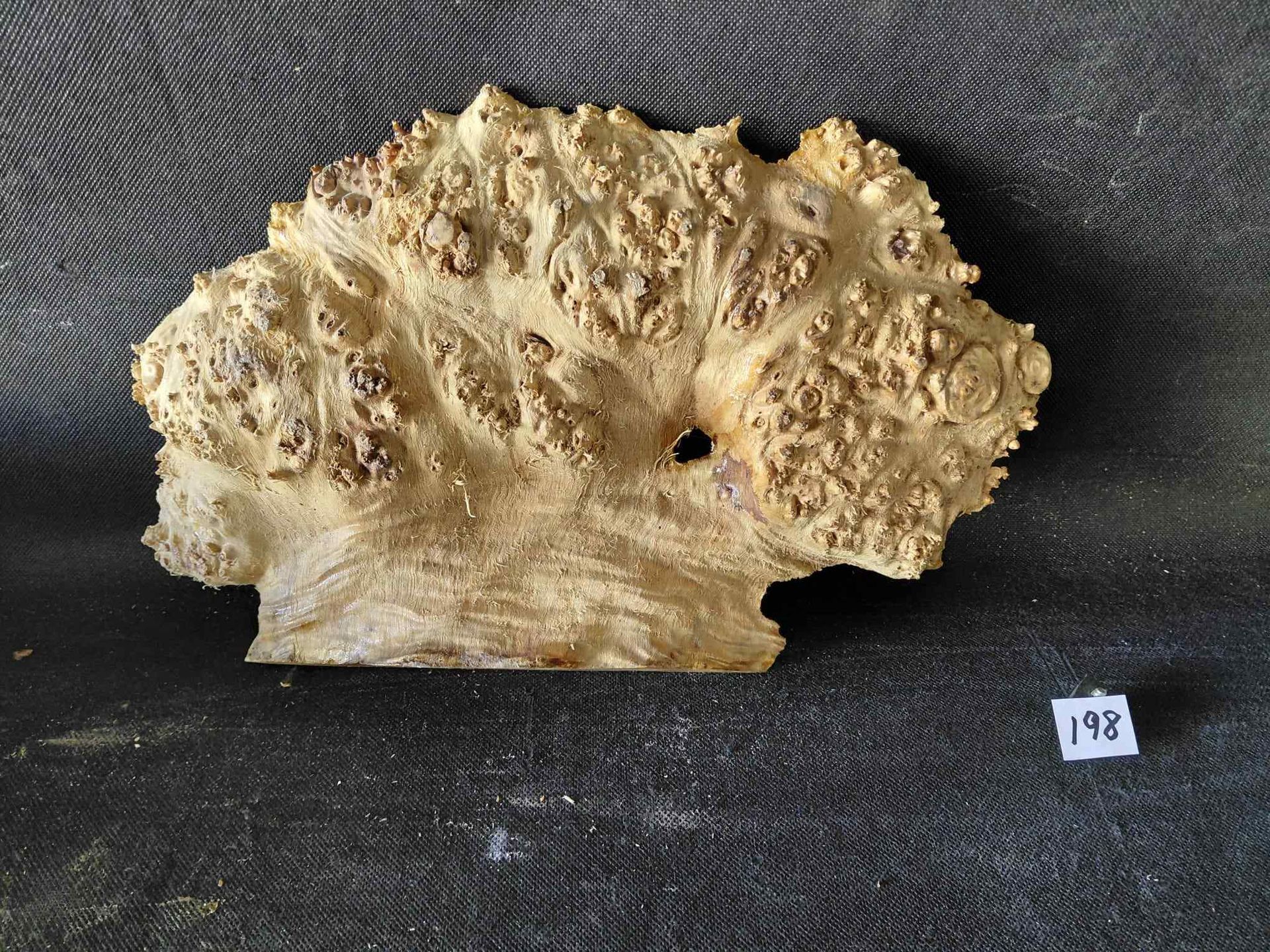 Maple Burl Cap Live Edge Roughly Planed 
13