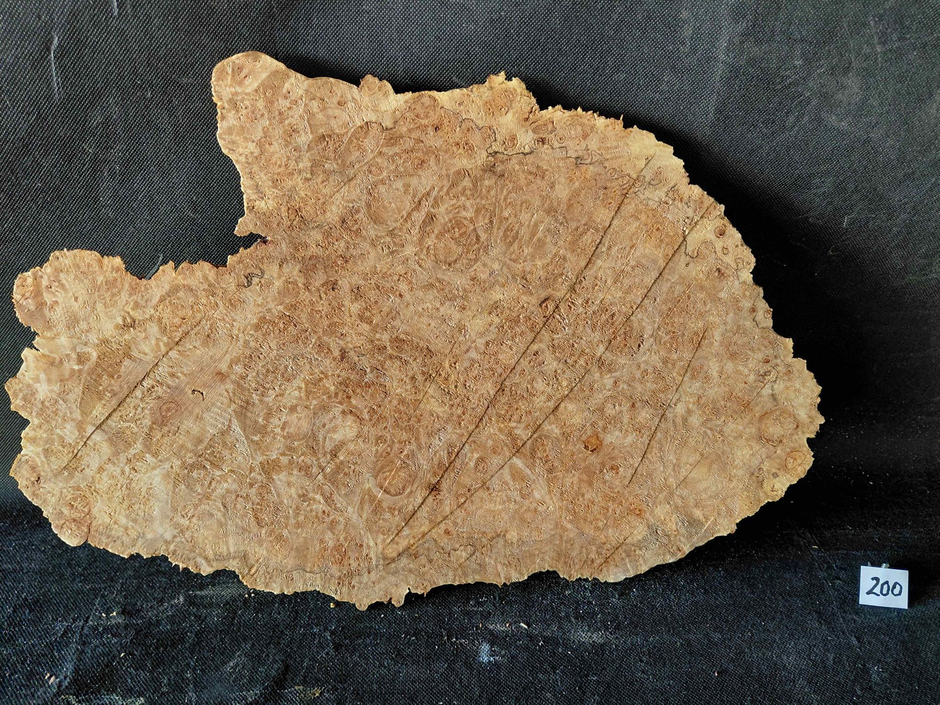 Maple Burl Cap Roughly Planed 
18