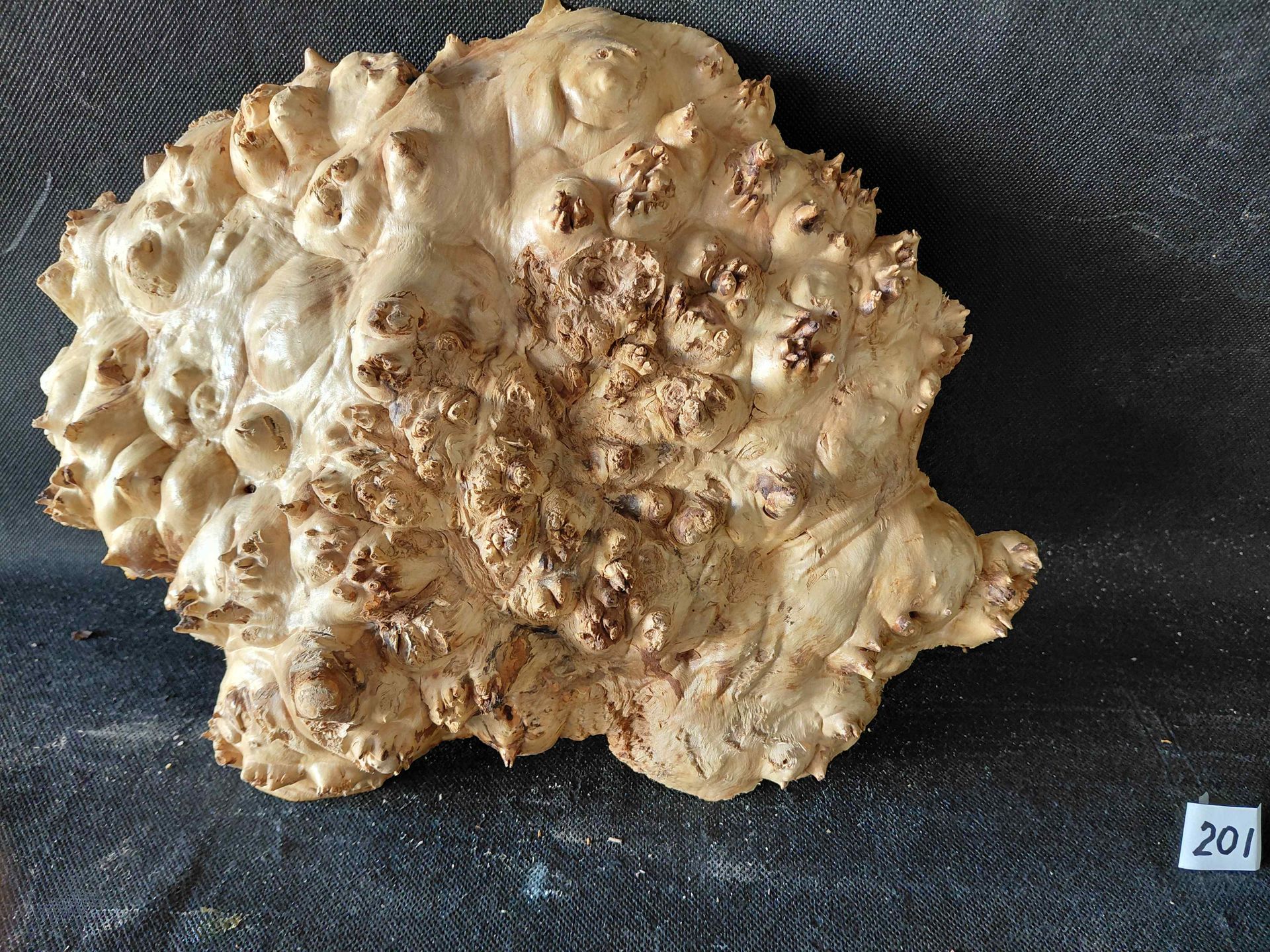 Maple Burl Cap Roughly Planed 
12