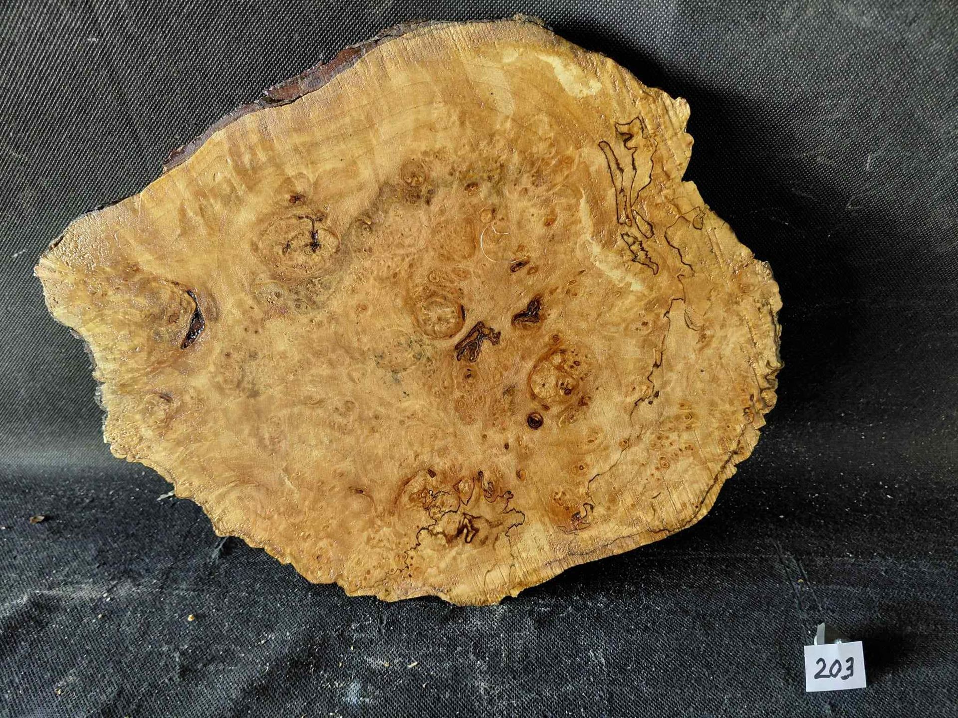 Maple Burl Slab 
13