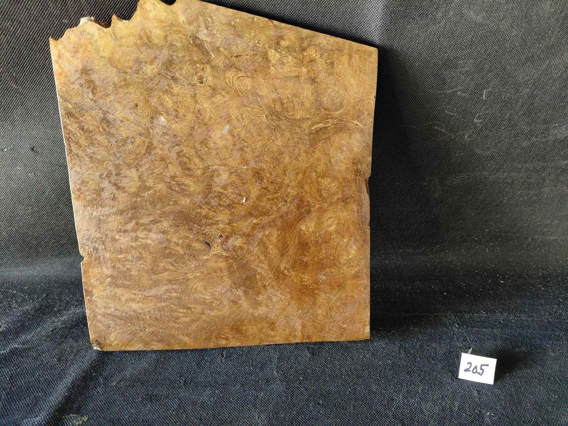 Camphor Burl Slab
11