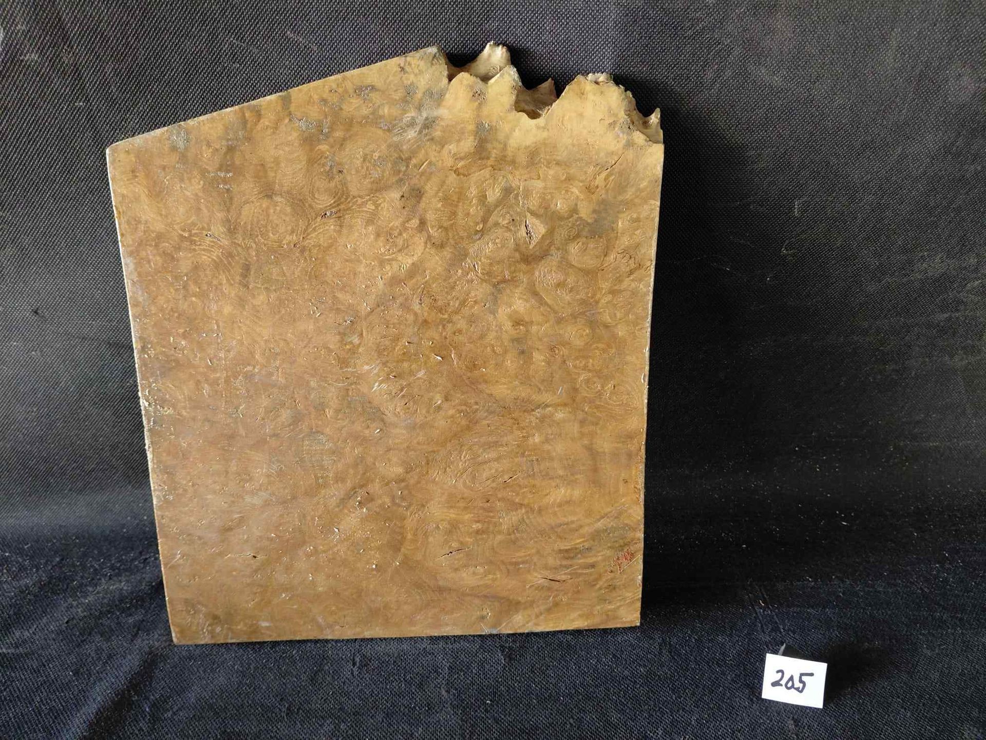 Camphor Burl Slab
11