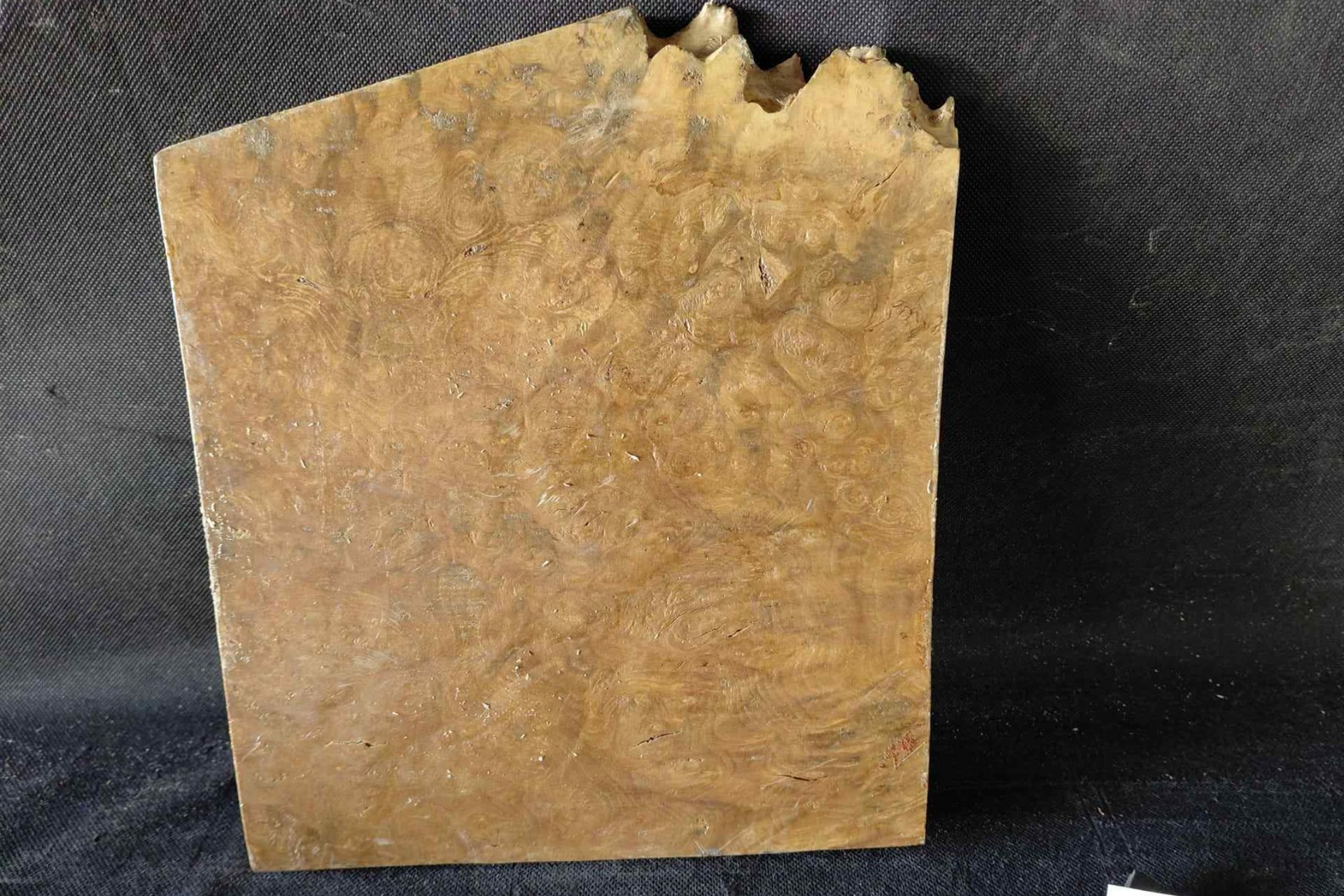 Camphor wood board with rich reddish-brown streaks
