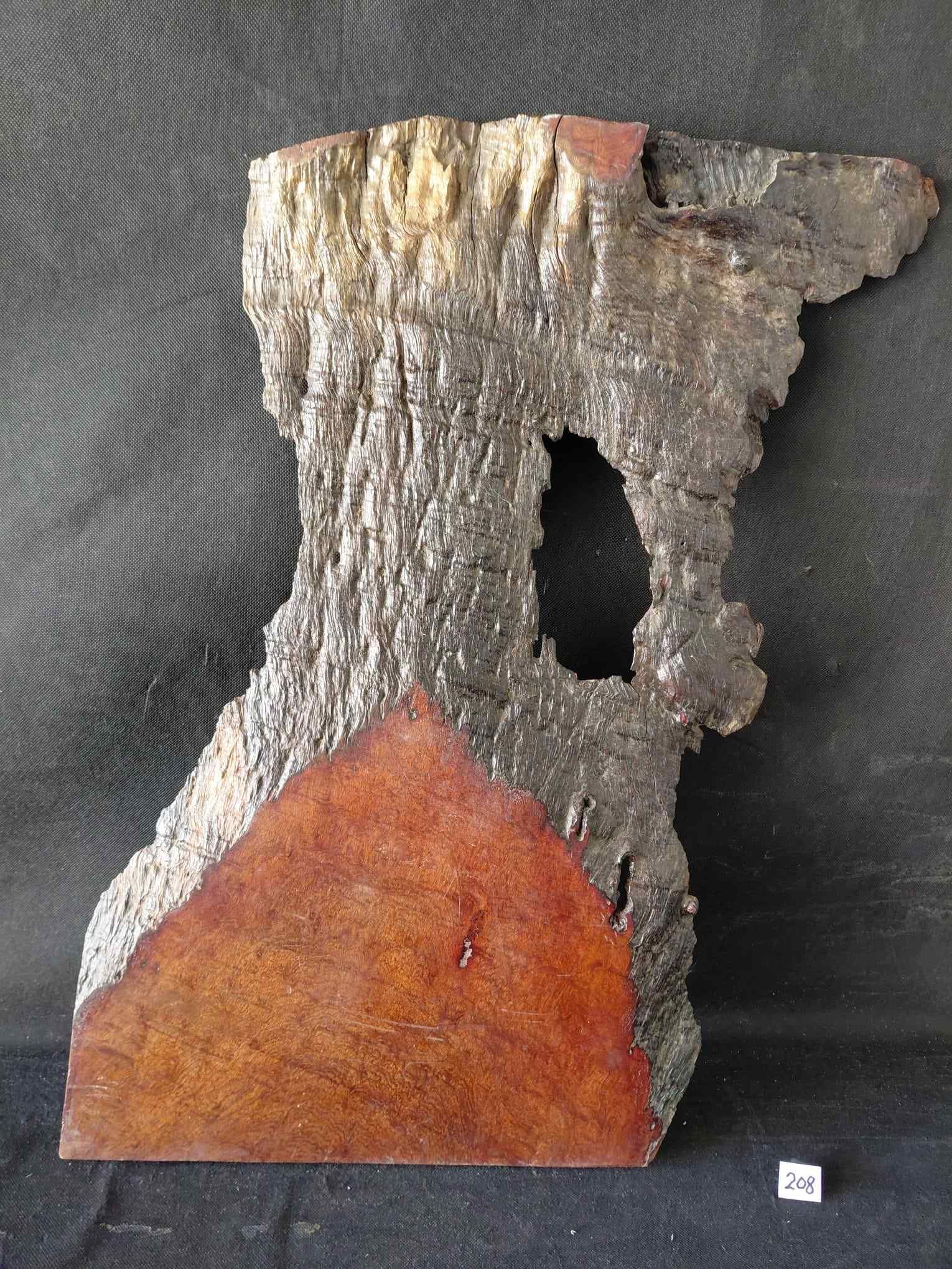 Amboyna Burl Crotch
25.5