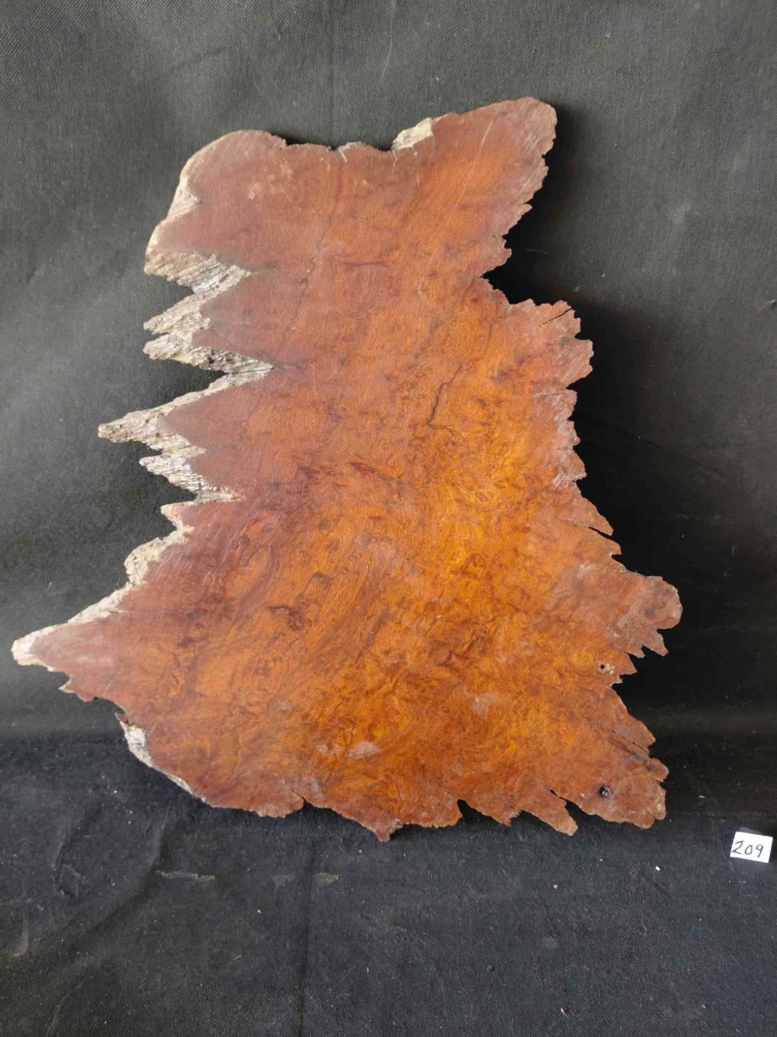 Amboyna Burl Crotch (Note very slight cracked edge)
21
