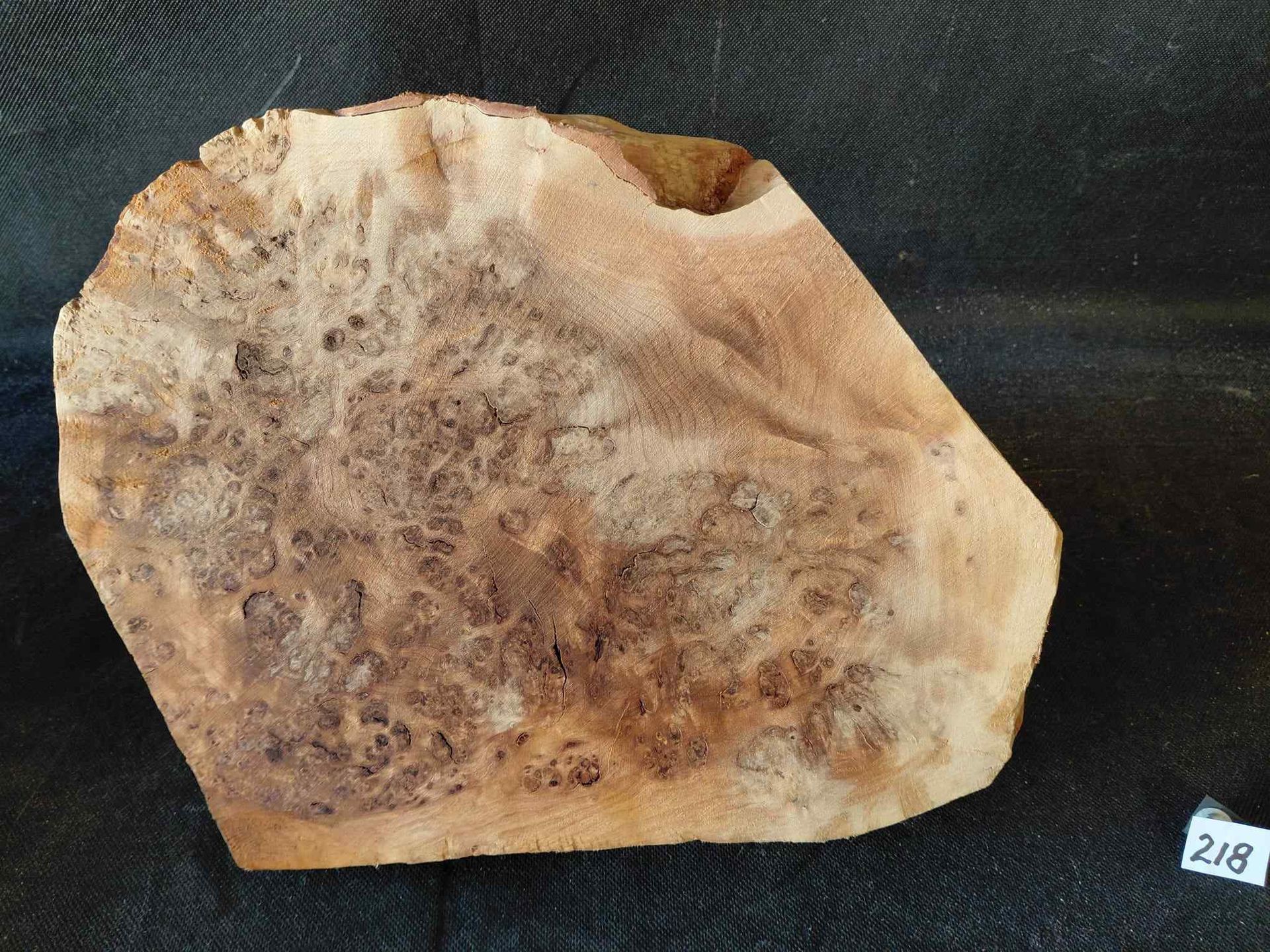 Shlai Burl 
12.5