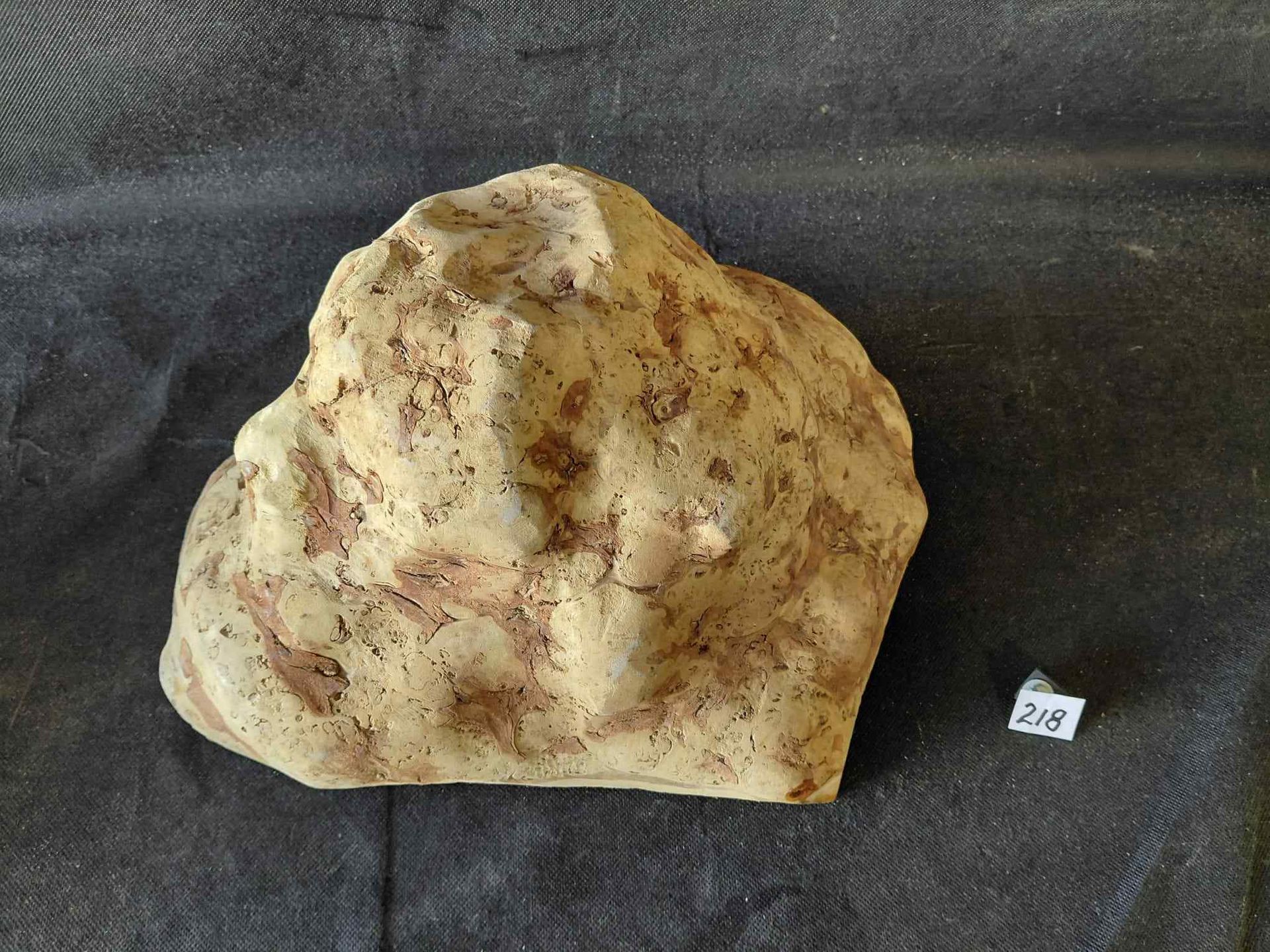 Shlai Burl 
12.5