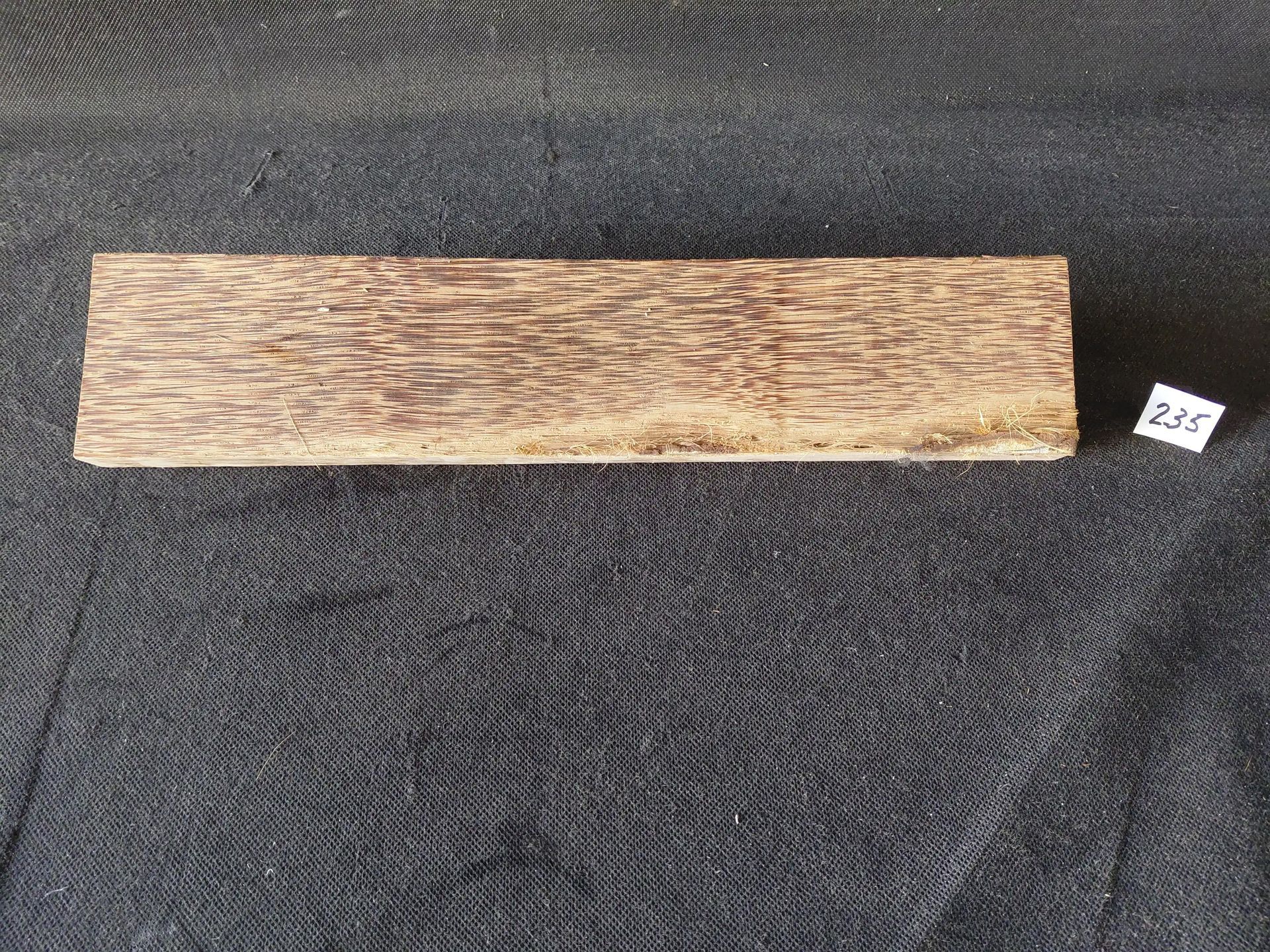 Palm
15