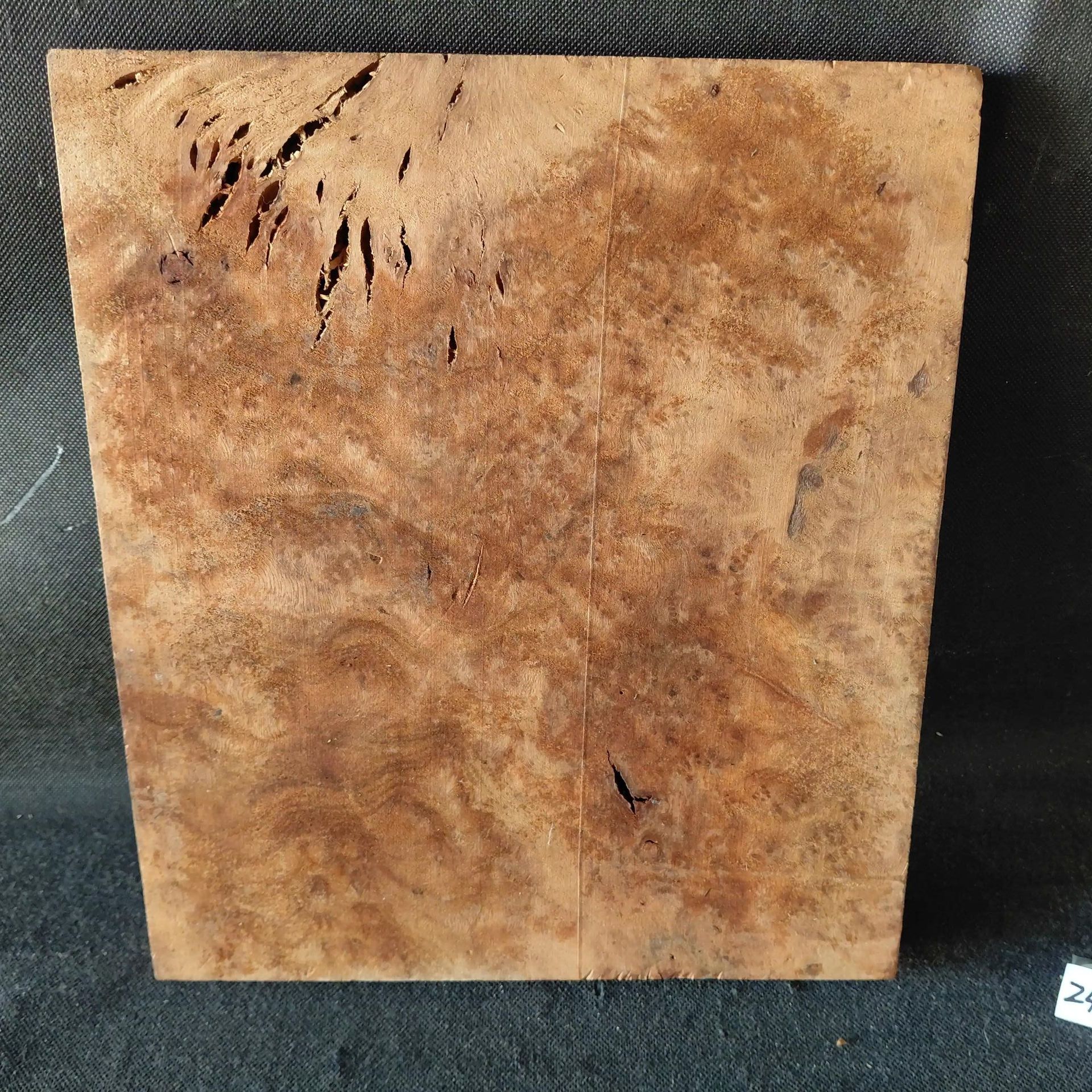 Camphor Burl 
12.75