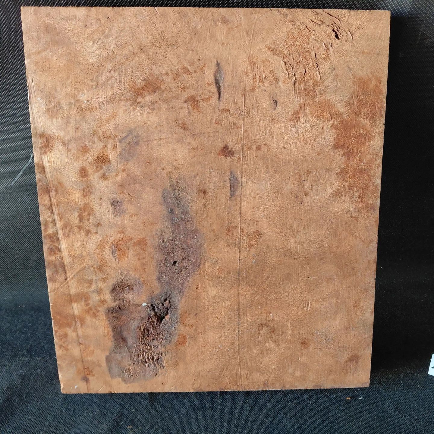 Camphor Burl 
12.75