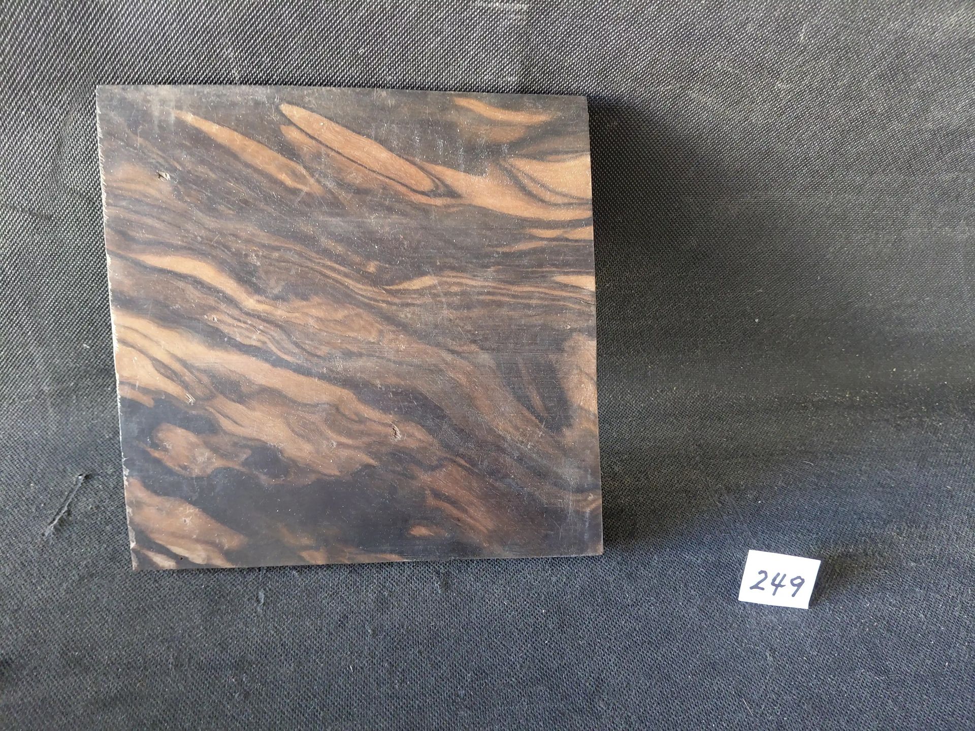 Ebony Burl - Indonesia - Cupped 
7.75